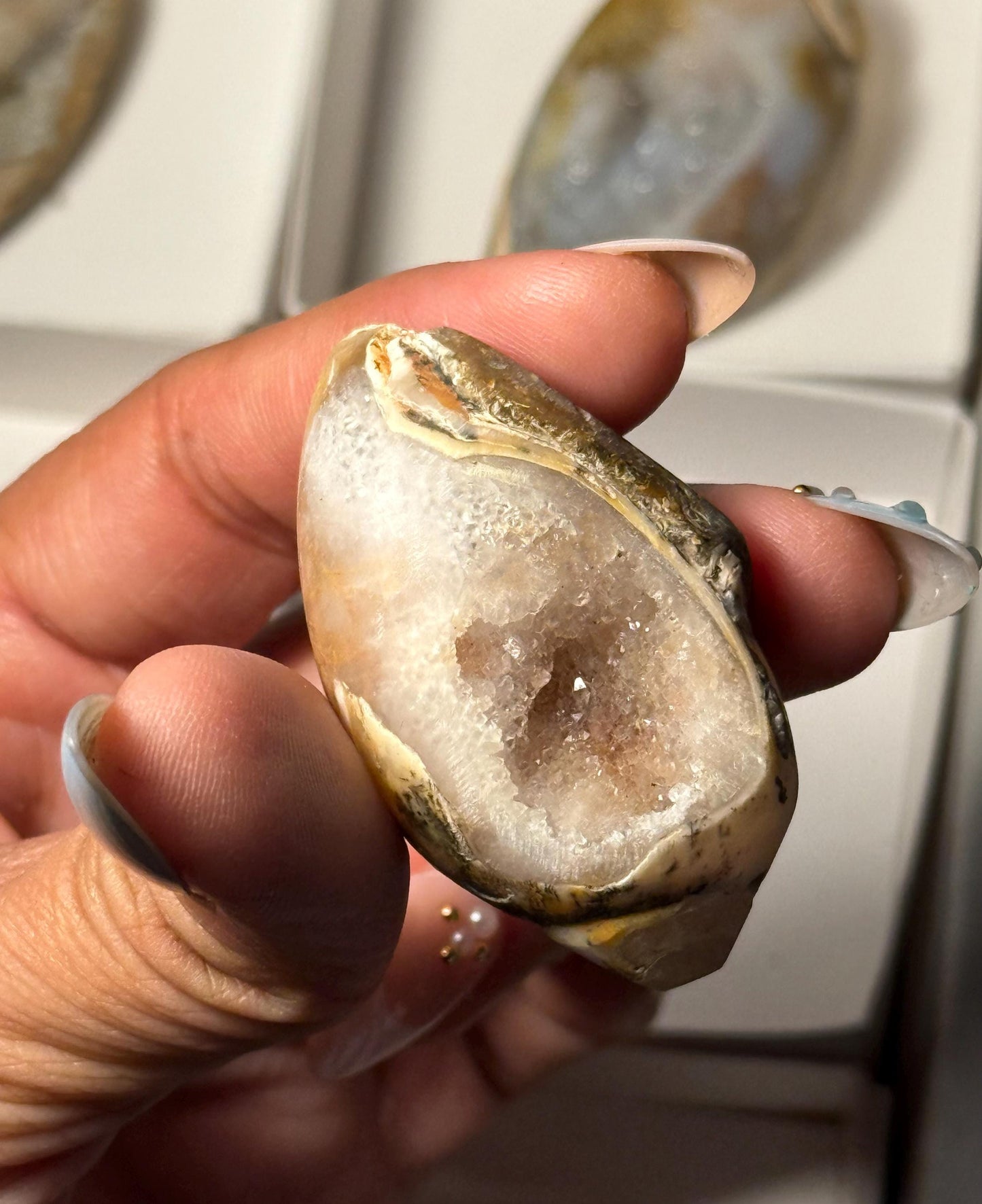 Spiralite Shell, Spiralite Quartz Shell, Fossilized Sea Shell, Agatized Shell, Druzy Quartz Shell, Fossilized Quartz, Crystal Gifts, Fossils