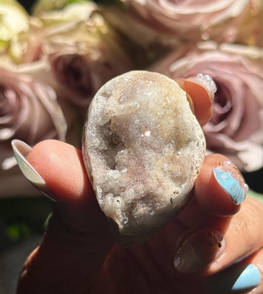 Spiralite Shell, Spiralite Quartz Shell, Fossilized Sea Shell, Agatized Shell, Druzy Quartz Shell, Fossilized Quartz, Crystal Gifts, Fossils