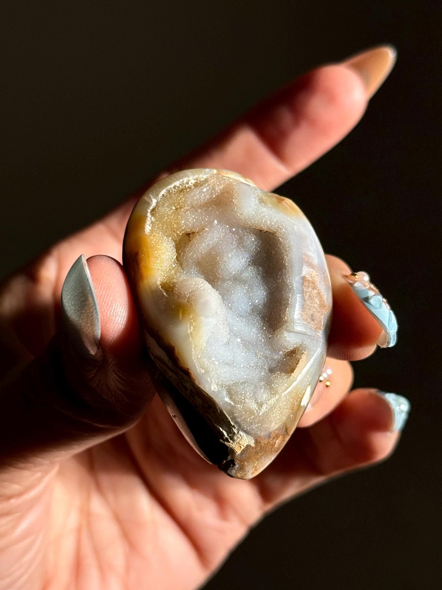 Spiralite Shell, Spiralite Quartz Shell, Fossilized Sea Shell, Agatized Shell, Druzy Quartz Shell, Fossilized Quartz, Crystal Gifts, Fossils