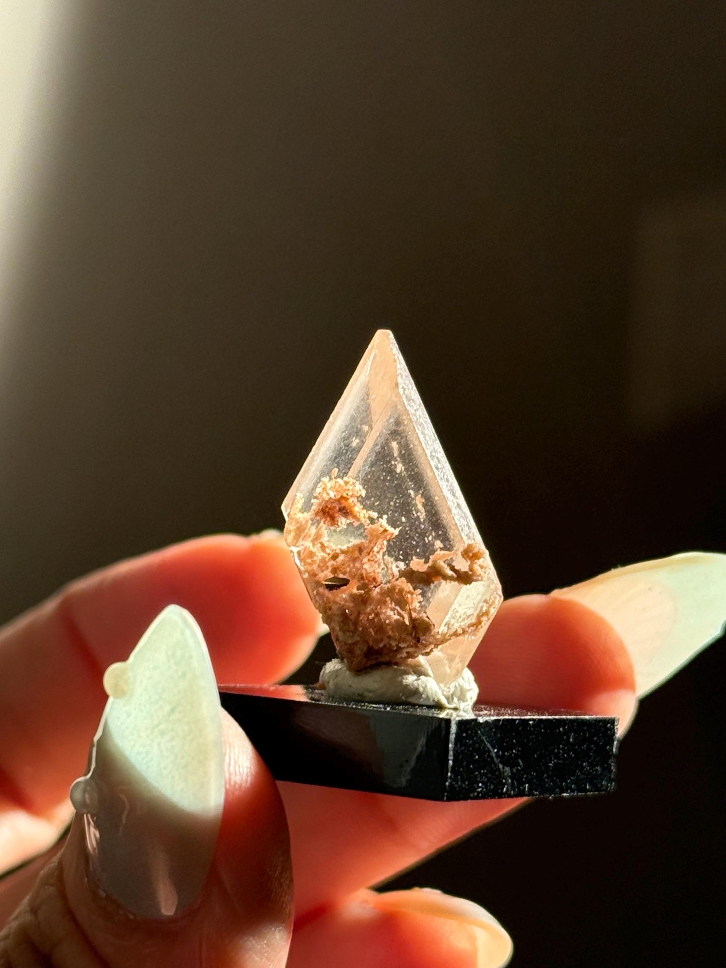 Raw Selenite From Durango Mexico, Mexican Selenite, Raw Natural Selenite, Bermejillo Durango Selenite, Raw Crystals, Fossils, Raw Minerals