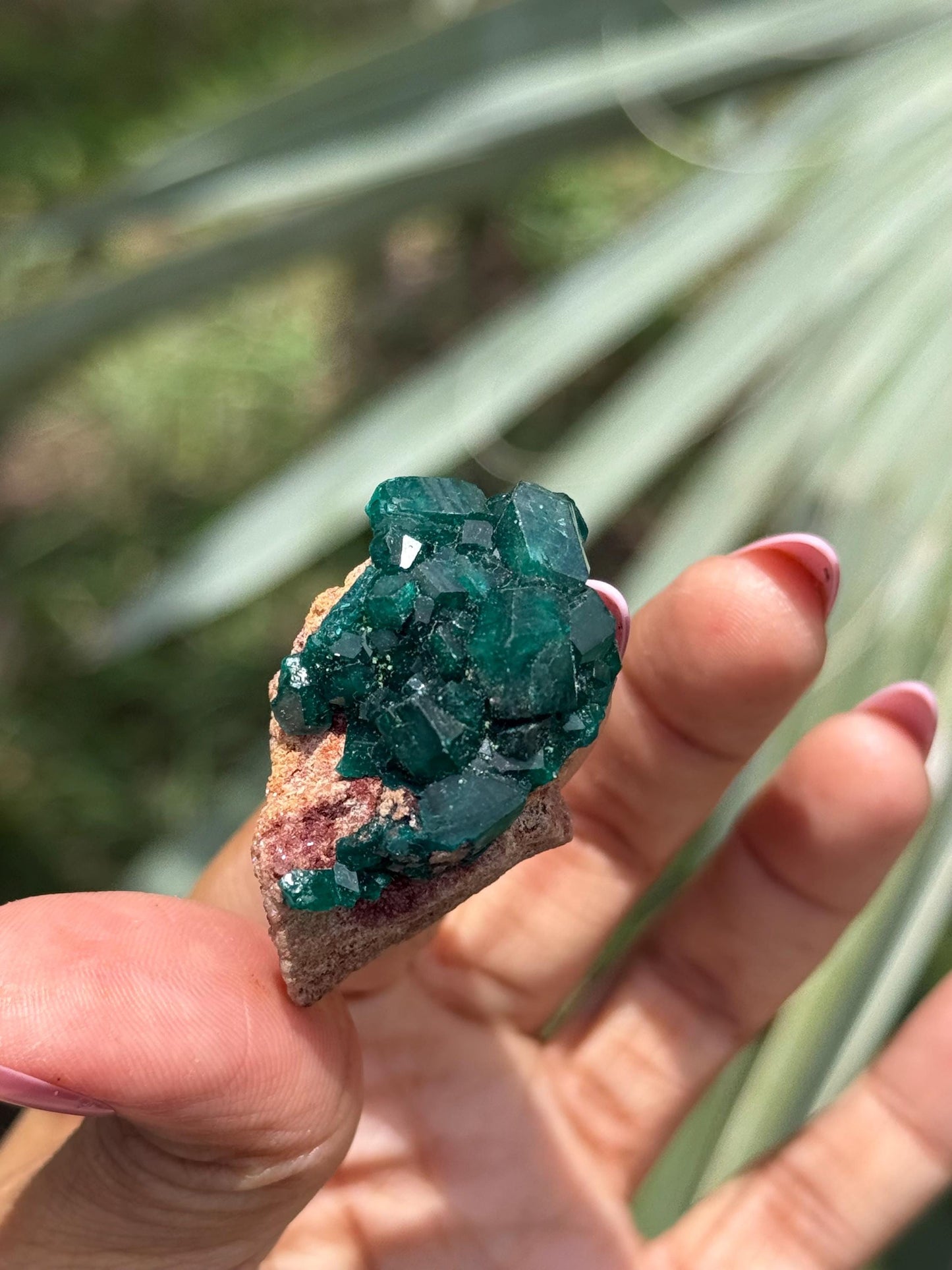 Dioptase, Natural Raw Dioptase, Dioptase from Republic of the Congo, Green Dioptase, Mineral Specimens, Fossils and Minerals, Crystal Gift