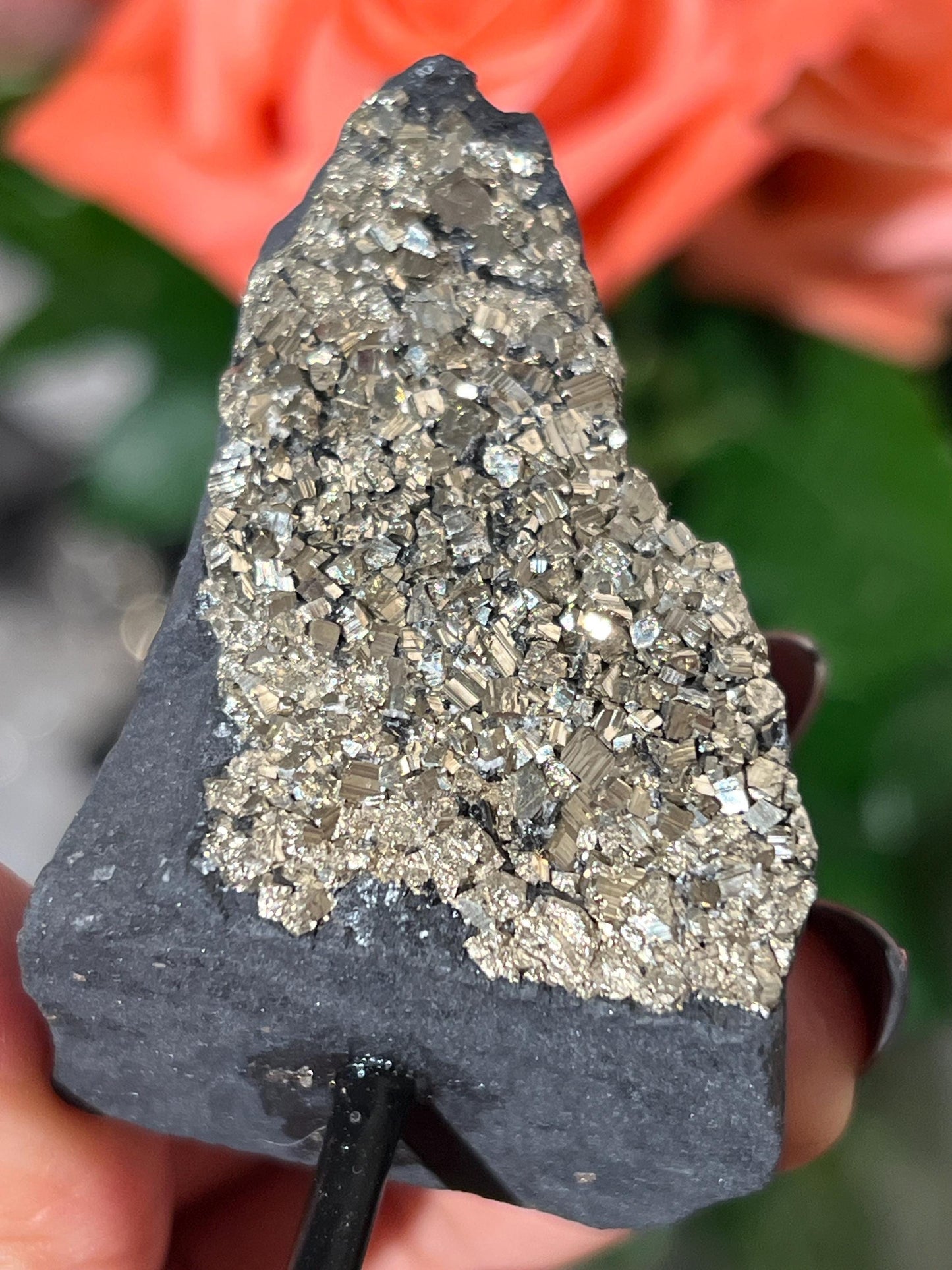 Mini Shungite with Pyrite On Stand, Natural Shungite, Shungite with Pyrite, Raw Shungite, Crystal Gifts, Metaphysical Gifts, Spiritual Decor