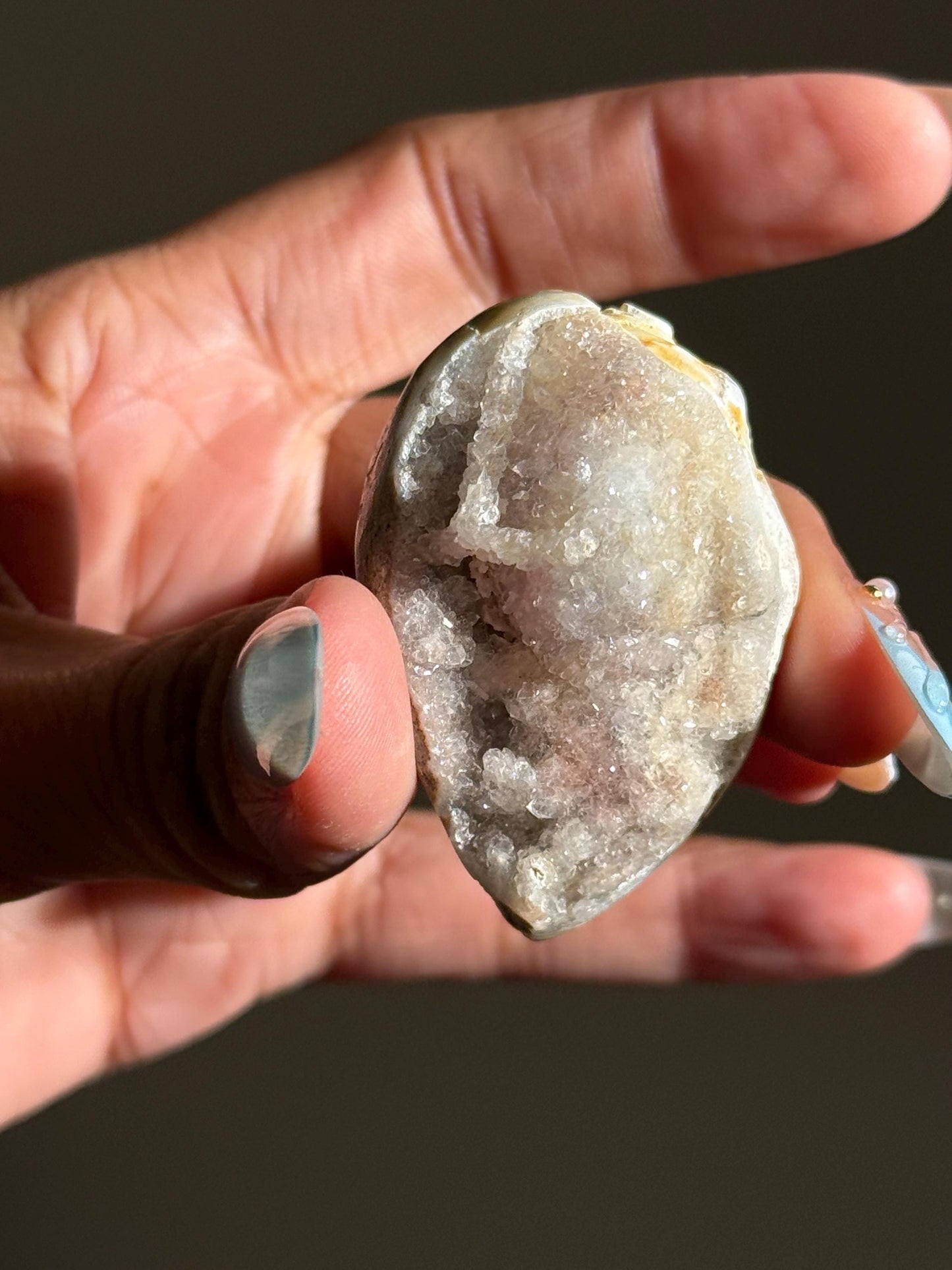 Spiralite Shell, Spiralite Quartz Shell, Fossilized Sea Shell, Agatized Shell, Druzy Quartz Shell, Fossilized Quartz, Crystal Gifts, Fossils