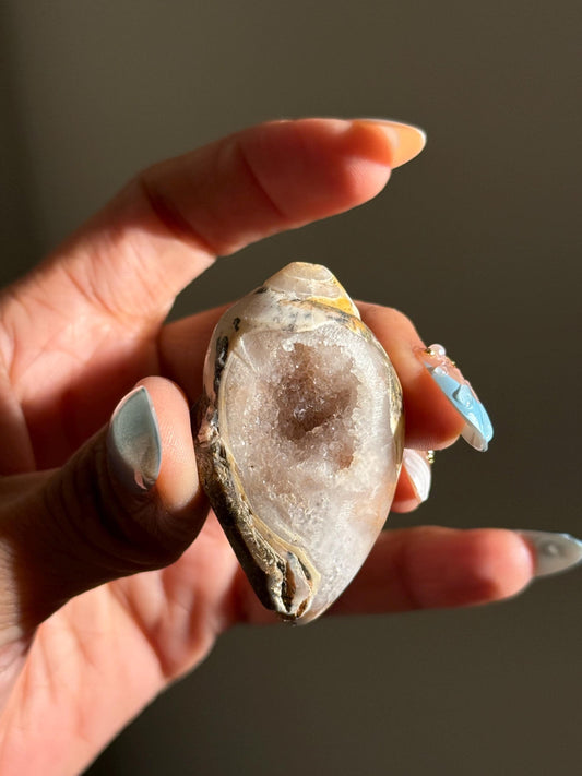 Spiralite Shell, Spiralite Quartz Shell, Fossilized Sea Shell, Agatized Shell, Druzy Quartz Shell, Fossilized Quartz, Crystal Gifts, Fossils