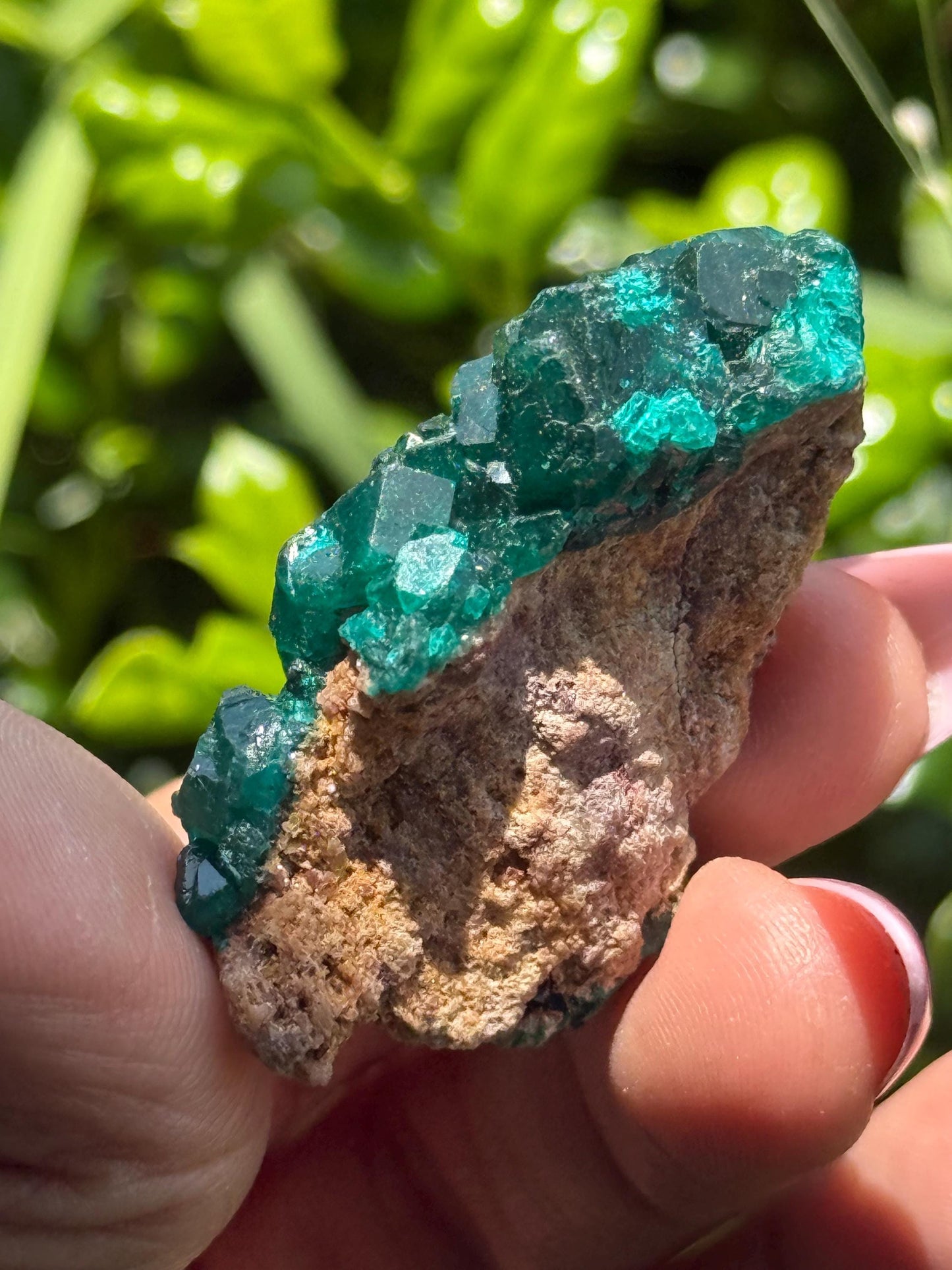 Dioptase, Natural Raw Dioptase, Dioptase from Republic of the Congo, Fossils and Minerals,