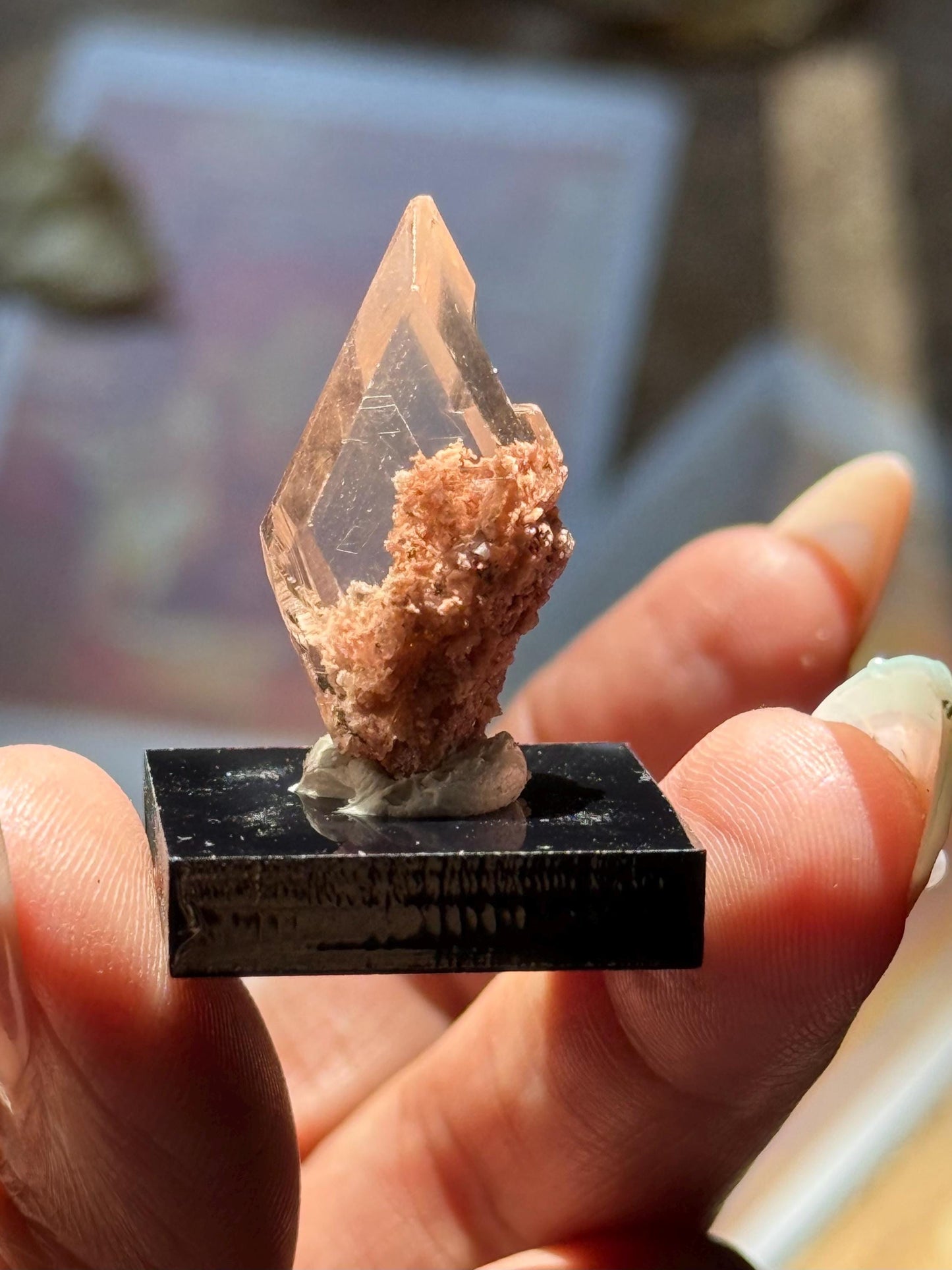Raw Selenite From Durango Mexico, Mexican Selenite, Raw Natural Selenite, Bermejillo Durango Selenite, Raw Crystals, Fossils, Raw Minerals