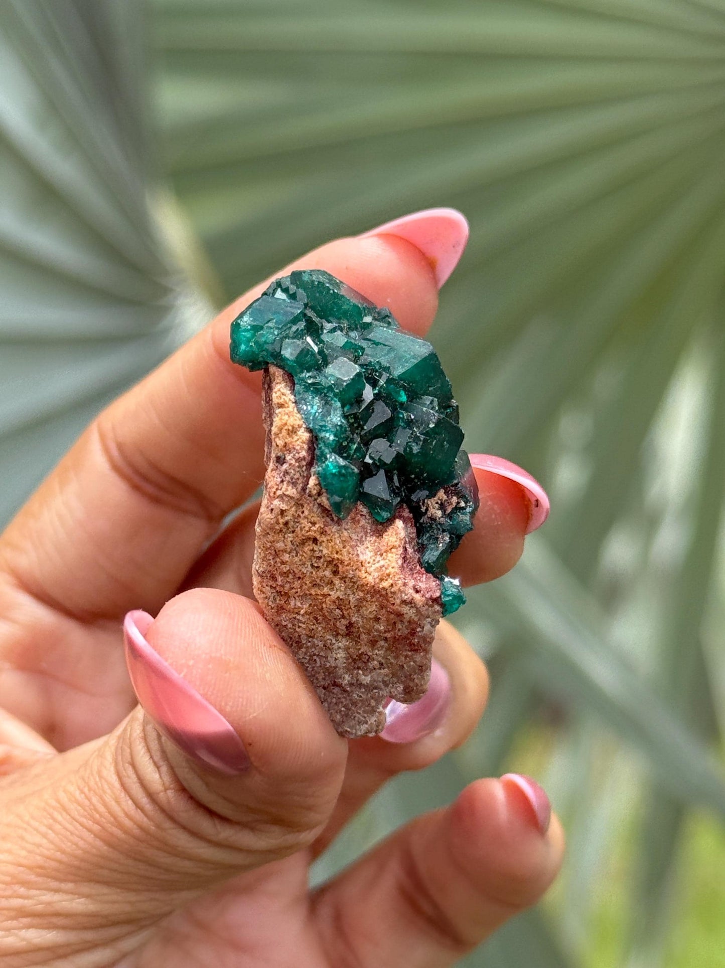 Dioptase, Natural Raw Dioptase, Dioptase from Republic of the Congo, Green Dioptase, Mineral Specimens, Fossils and Minerals, Crystal Gift