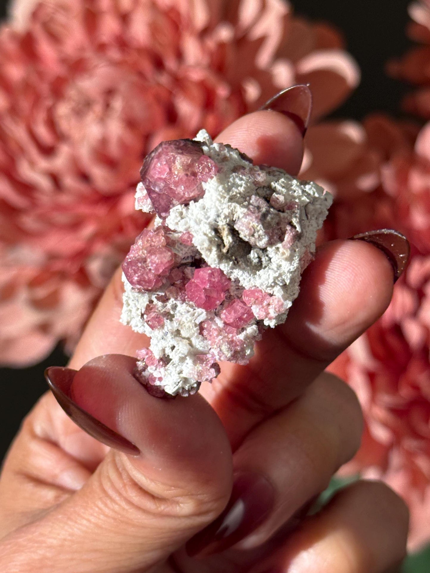 Raspberry Garnet, Grossular Garnet, Raspberry Garnet from Coahuila, Mexico, Raw Mineral Specimen, Garnet, Garnet Raw Stone, Crystal Gifts