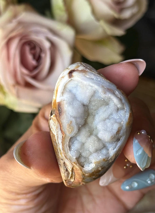 Spiralite Shell, Spiralite Quartz Shell, Fossilized Sea Shell, Agatized Shell, Druzy Quartz Shell, Fossilized Quartz, Crystal Gifts, Fossils