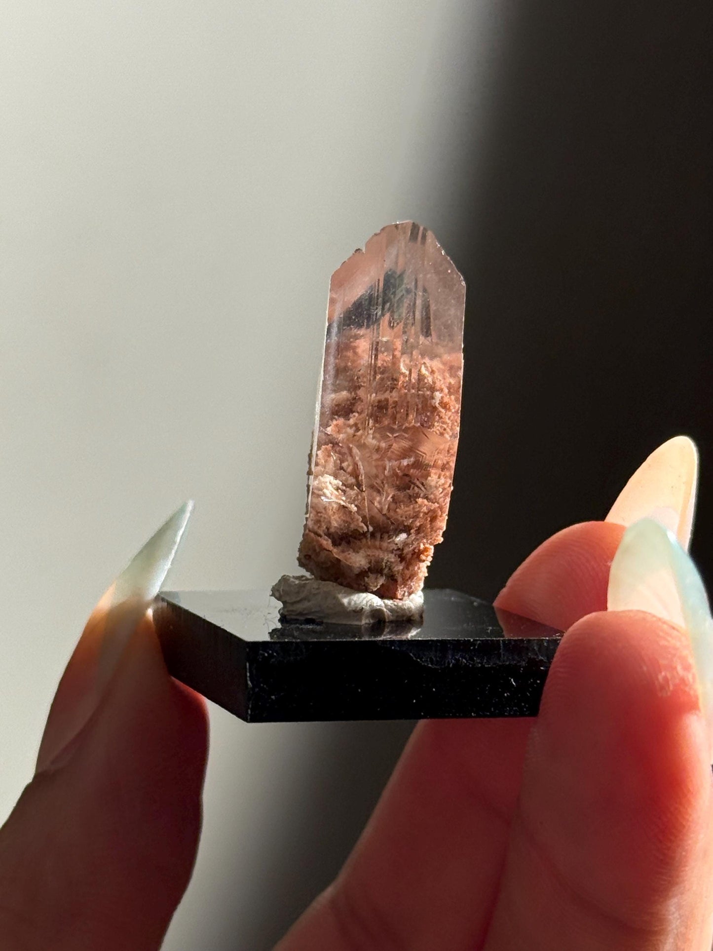 Raw Selenite From Durango Mexico, Mexican Selenite, Raw Natural Selenite, Bermejillo Durango Selenite, Raw Crystals, Fossils, Raw Minerals