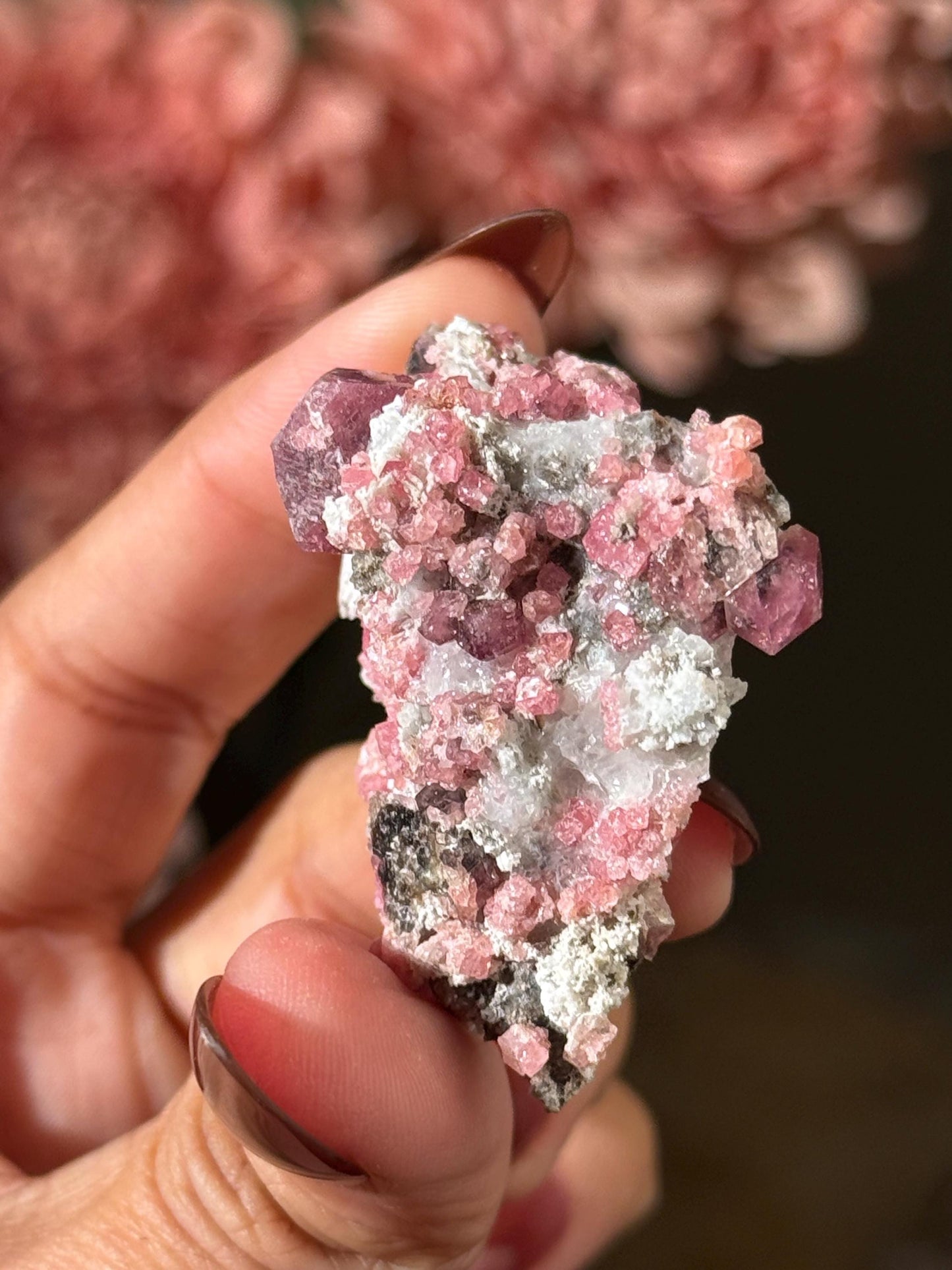 Raspberry Garnet, Grossular Garnet, Raspberry Garnet from Coahuila, Mexico, Raw Mineral Specimen, Garnet, Garnet Raw Stone, Crystal Gifts