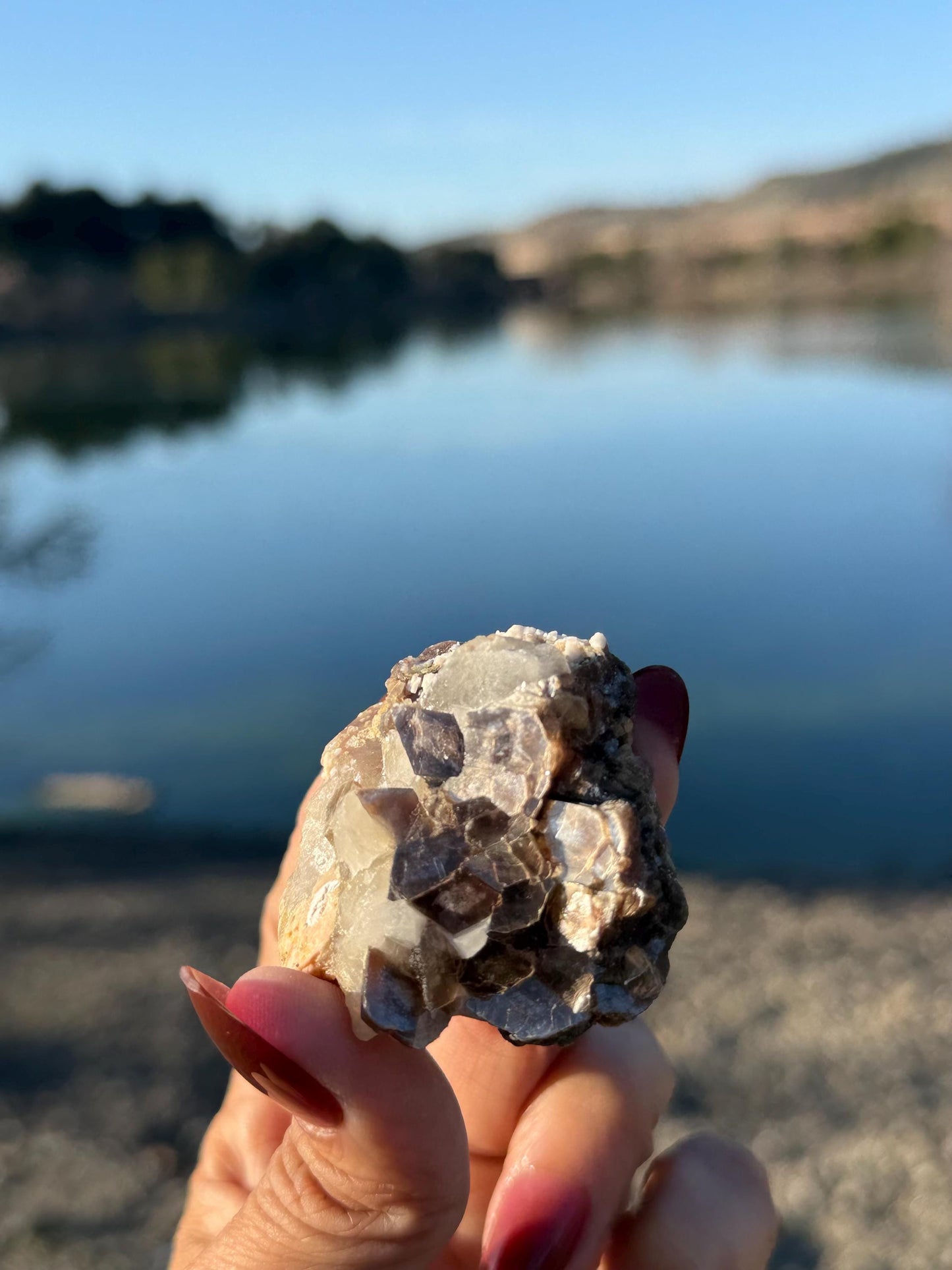 Smoky Quartz Scepter With Golden Mica, Enhydro Quartz, Smoky Quartz Enhydro, Raw Smoky Quartz Specimen, Tucson Gem Show Find