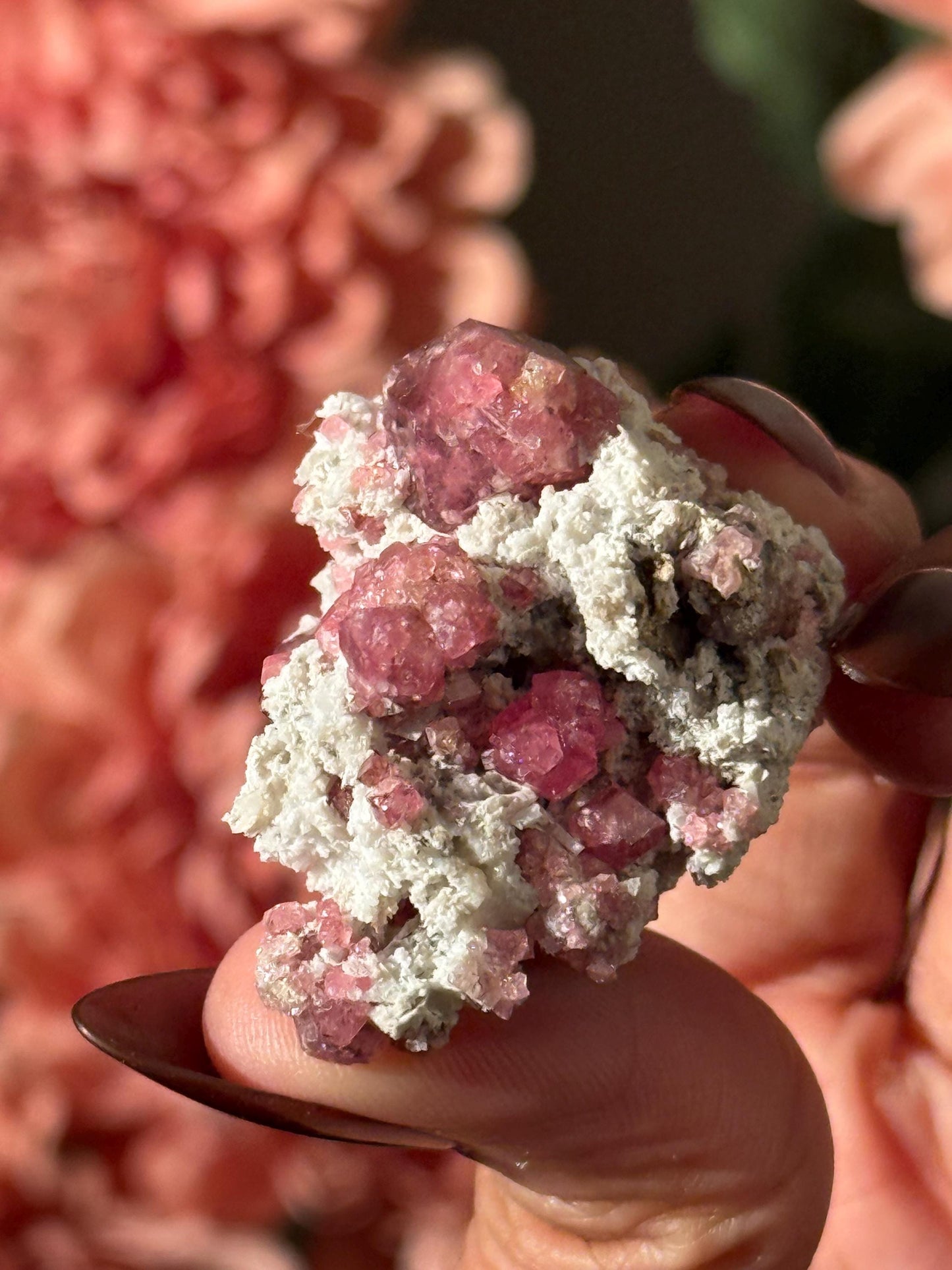 Raspberry Garnet, Grossular Garnet, Raspberry Garnet from Coahuila, Mexico, Raw Mineral Specimen, Garnet, Garnet Raw Stone, Crystal Gifts