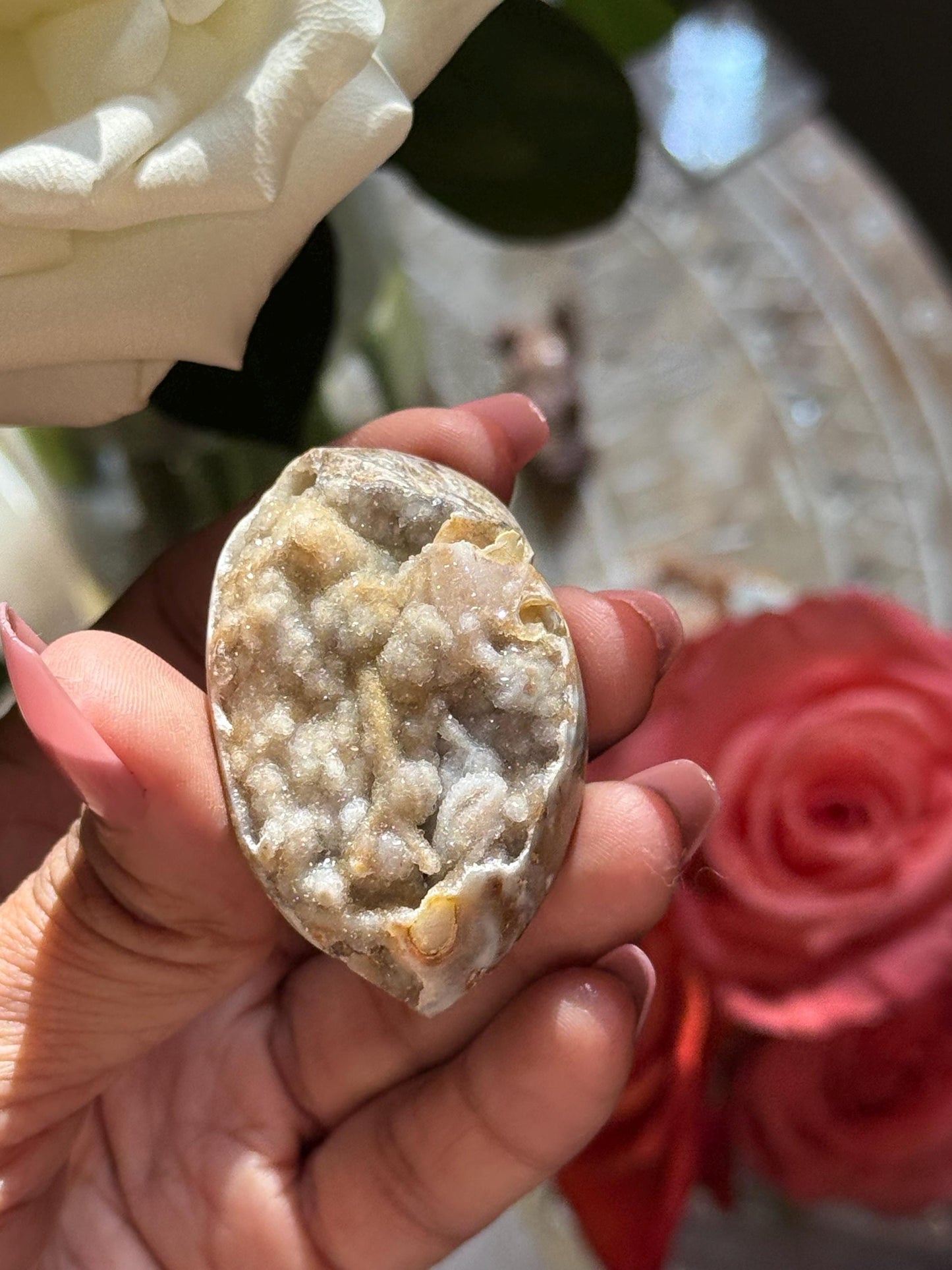 Spiralite Shell, Spiralite Quartz Shell, Fossilized Sea Shell, Agatized Shell, Druzy Quartz Shell, Fossilized Quartz, Crystal Gifts, Fossils