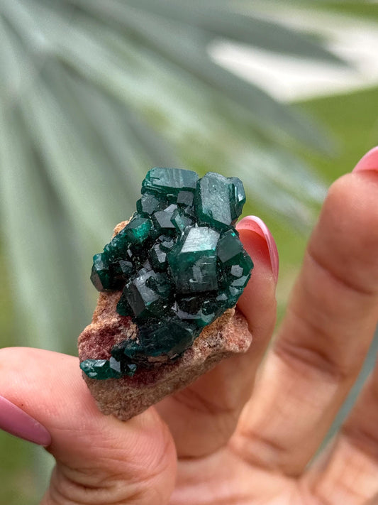 Dioptase, Natural Raw Dioptase, Dioptase from Republic of the Congo, Green Dioptase, Mineral Specimens, Fossils and Minerals, Crystal Gift