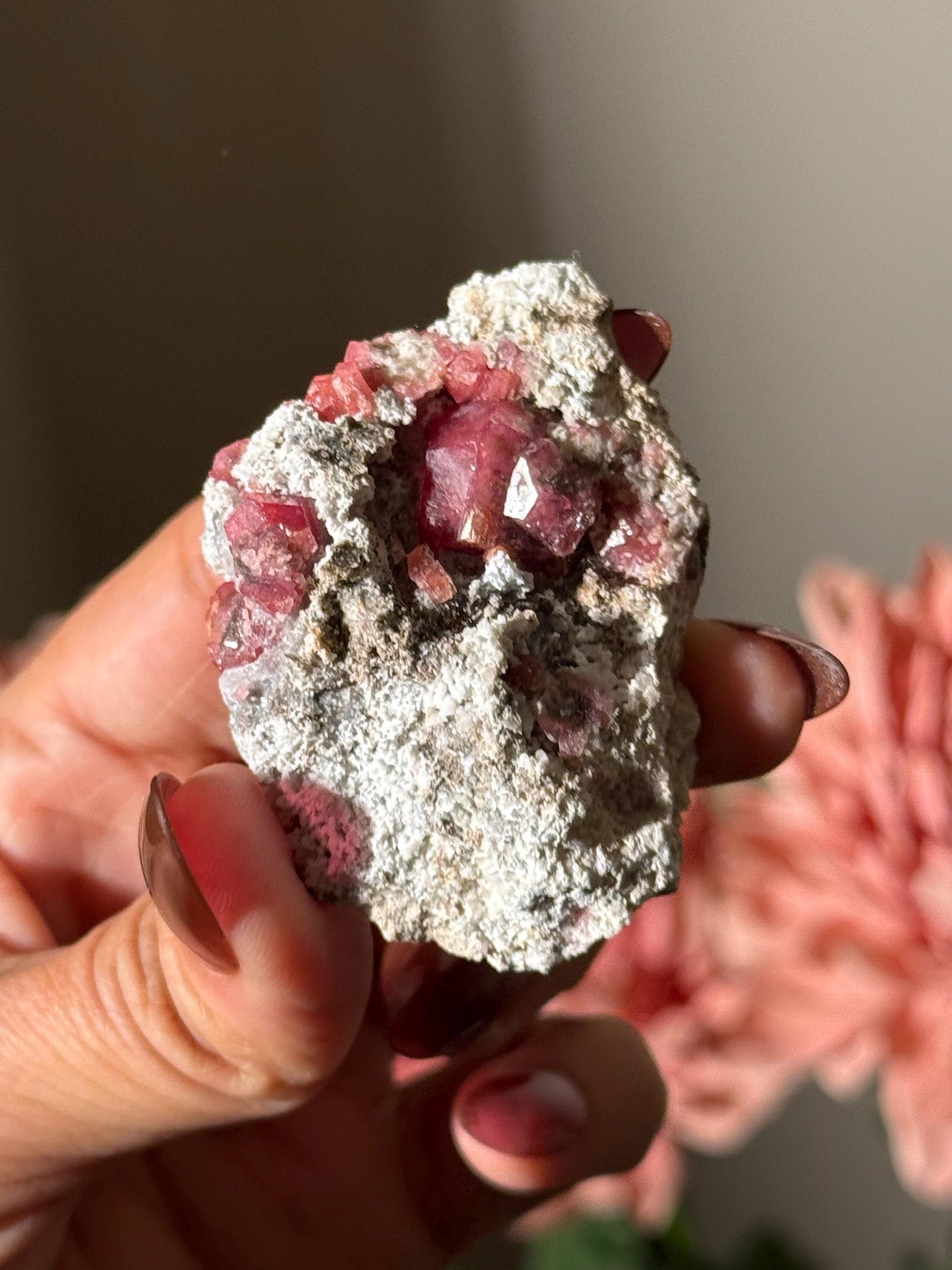 Raspberry Garnet, Grossular Garnet, Raspberry Garnet from Coahuila, Mexico, Raw Mineral Specimen, Garnet, Garnet Raw Stone, Crystal Gifts