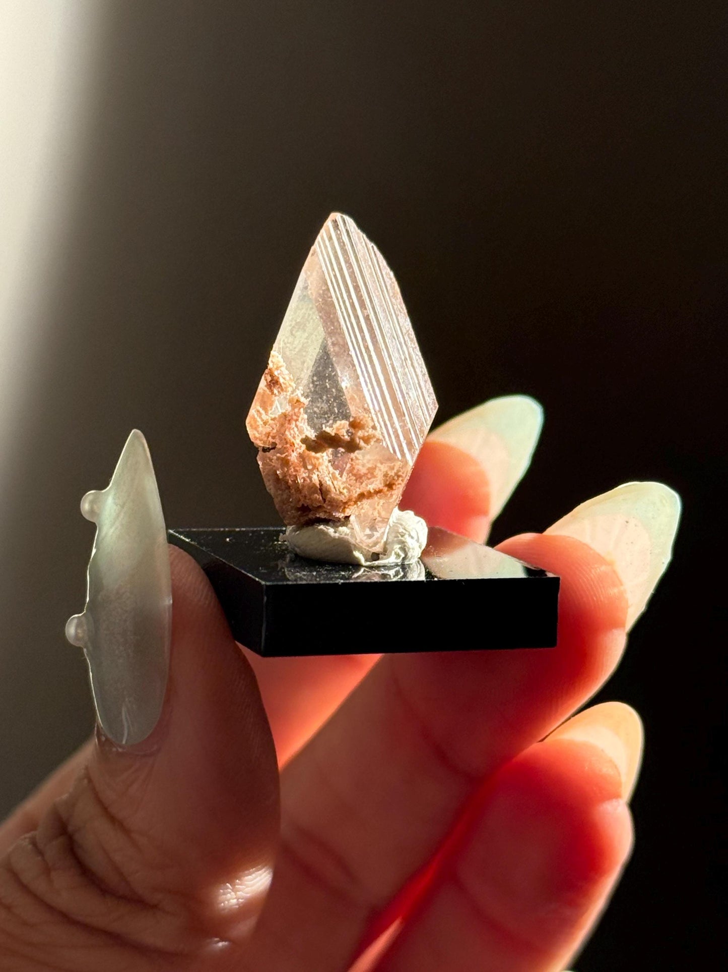 Raw Selenite From Durango Mexico, Mexican Selenite, Raw Natural Selenite, Bermejillo Durango Selenite, Raw Crystals, Fossils, Raw Minerals