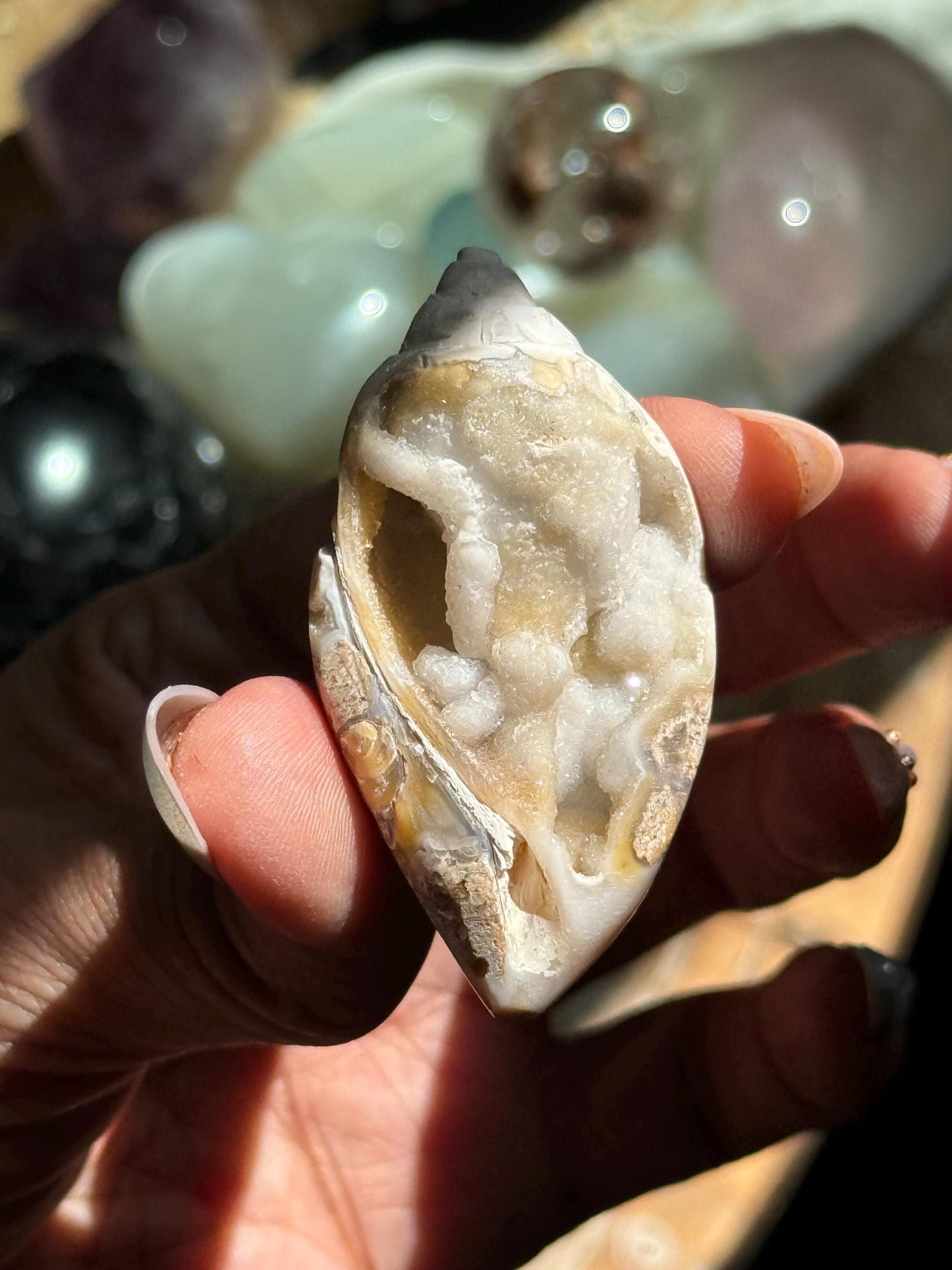 Spiralite Shell, Spiralite Quartz Shell, Fossilized Sea Shell, Agatized Shell, Druzy Quartz Shell, Fossilized Quartz, Crystal Gifts, Fossils