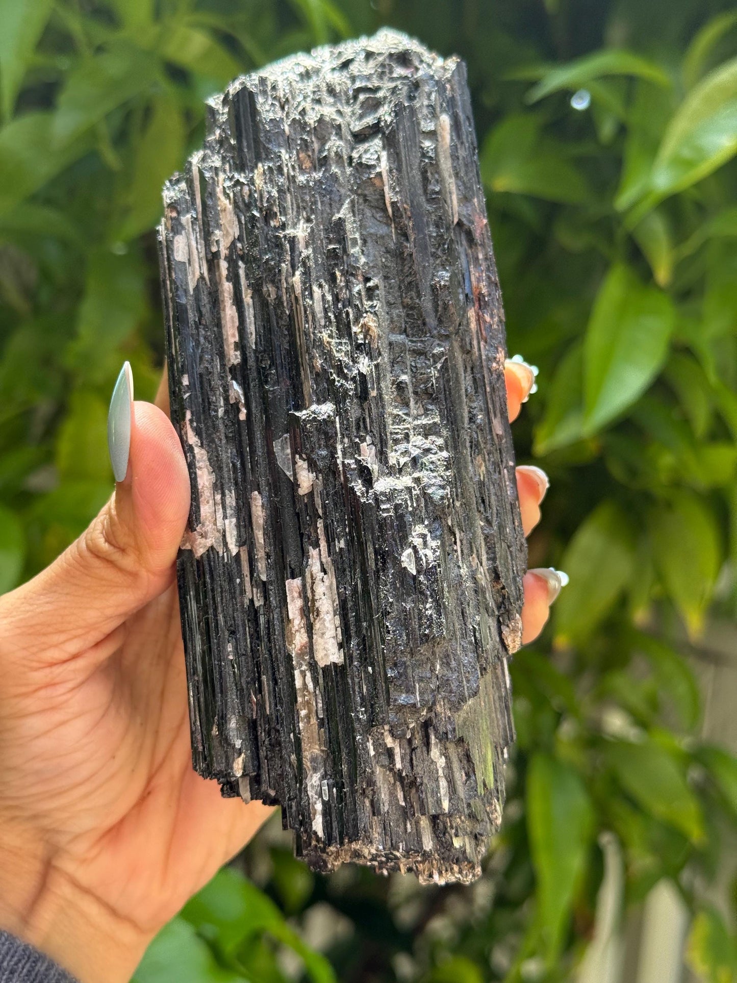 Large Black Tourmaline with Quartz, Raw Black Tourmaline, Tourmaline, Tourmaline mineral, Raw Crystal Specimen, Crystal Gifts, Home Decor