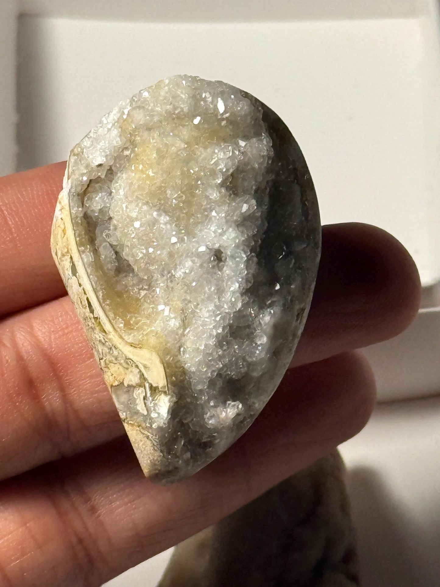 Spiralite Shell, Spiralite Quartz Shell, Fossilized Sea Shell, Agatized Shell, Druzy Quartz Shell, Fossilized Quartz, Crystal Gifts, Fossils