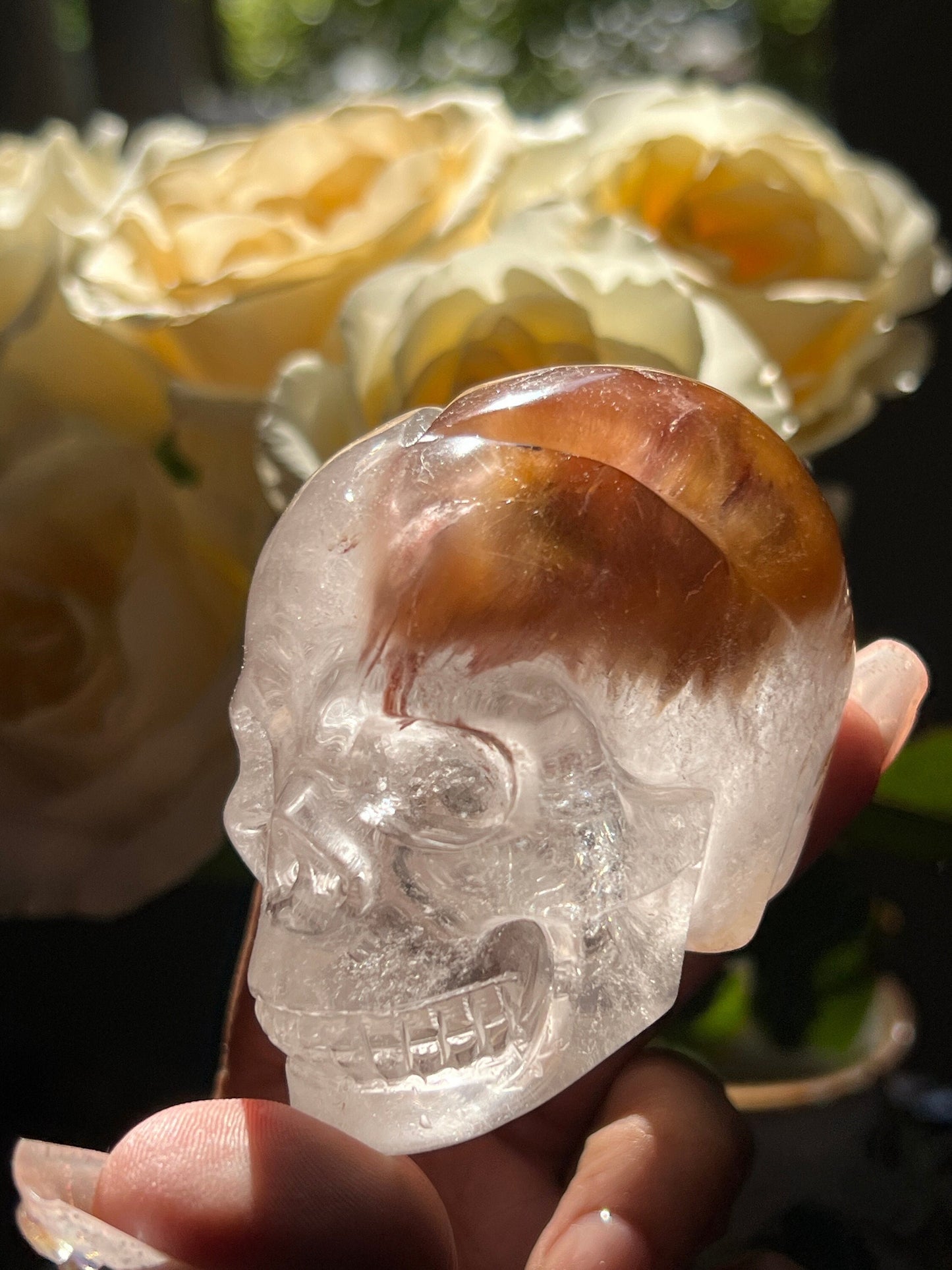 Amphibole Crystal skull, Hand Carved Crystal skull, Skulls, Crystal Gifts, Metaphysical Gifts, Rabbit Hair Quartz, Rabbit hair Quartz Skull
