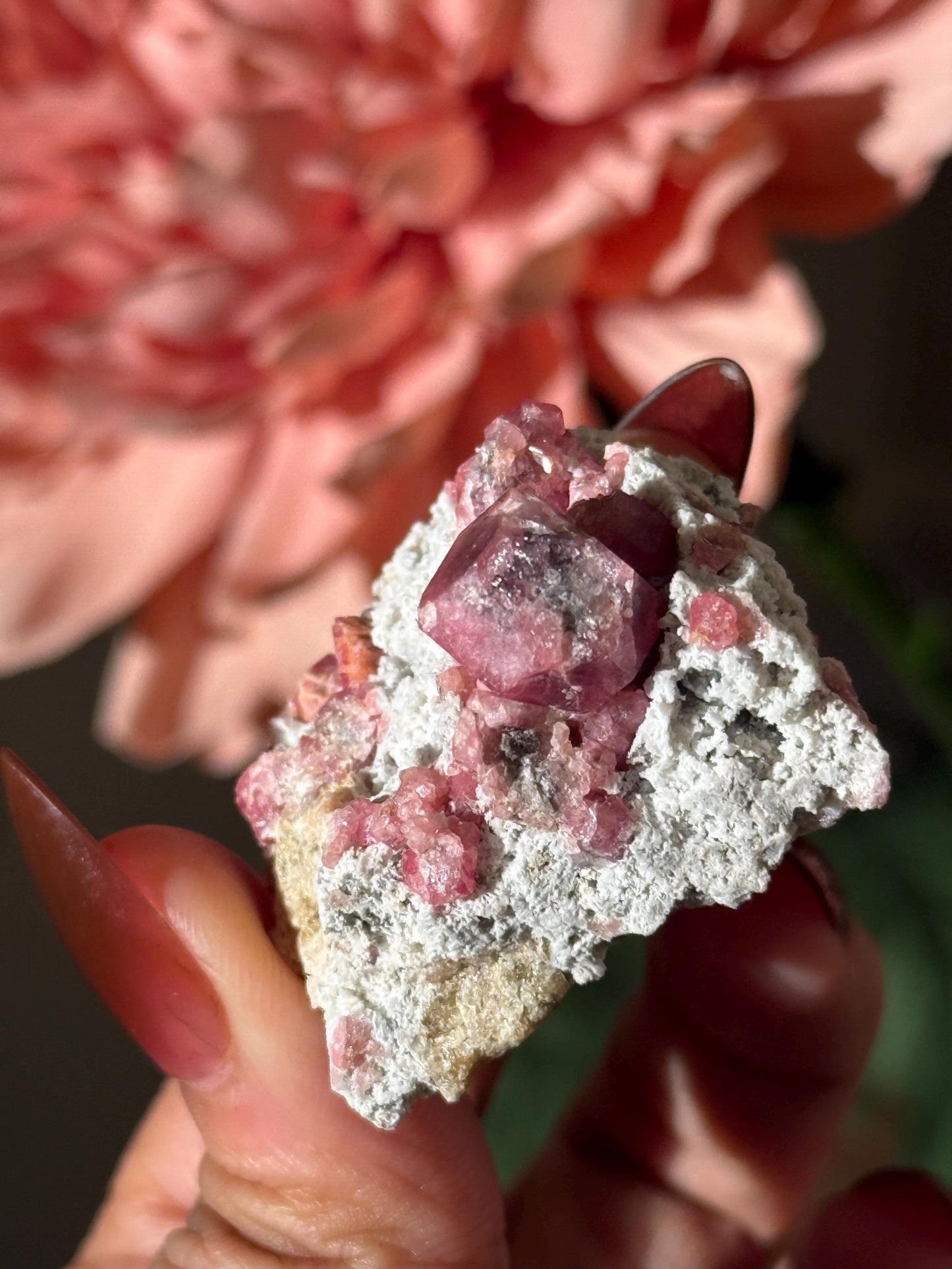 Raspberry Garnet, Grossular Garnet, Raspberry Garnet from Coahuila, Mexico, Raw Mineral Specimen, Garnet, Garnet Raw Stone, Crystal Gifts