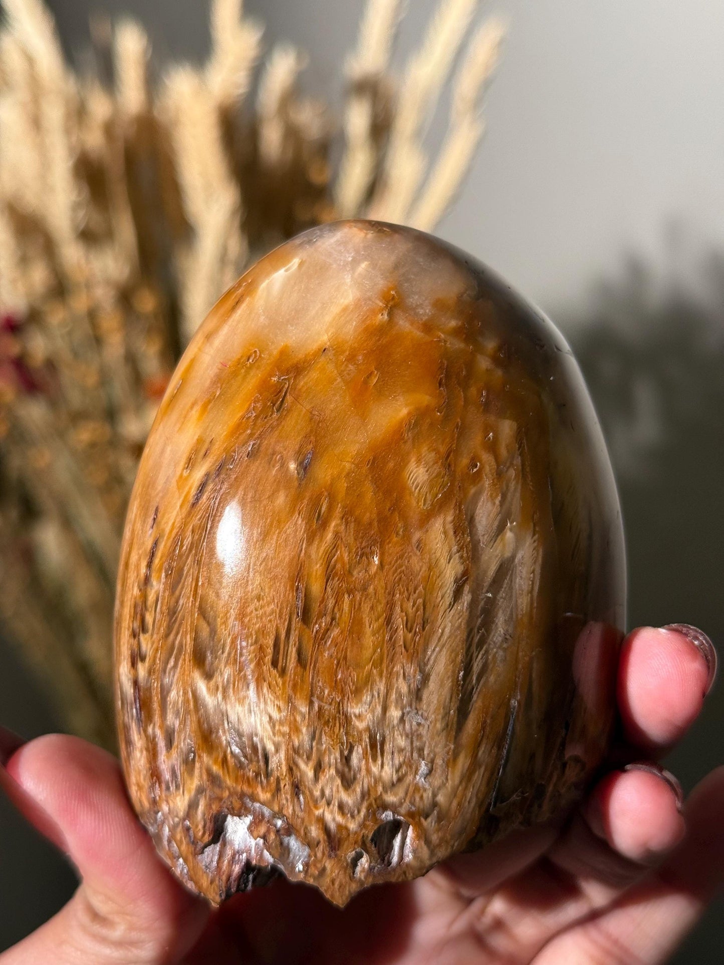 Rabbit Hair Quartz, Orange Rutilated Quartz, Amphibole Quartz, Orange Rutilated Quartz, Amphiboles, Rough Polished Amphibole, Crystal Gifts