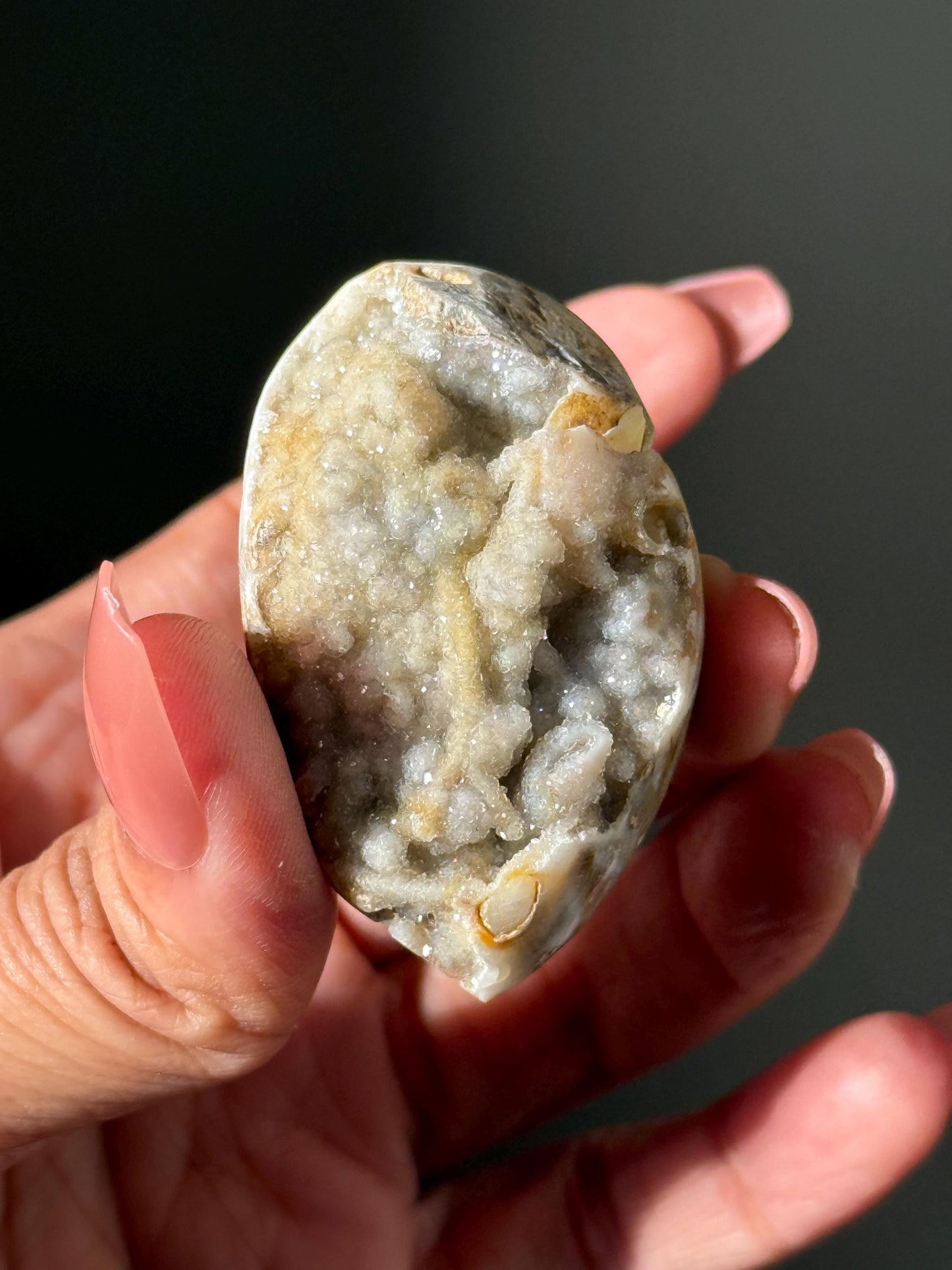 Spiralite Shell, Spiralite Quartz Shell, Fossilized Sea Shell, Agatized Shell, Druzy Quartz Shell, Fossilized Quartz, Crystal Gifts, Fossils
