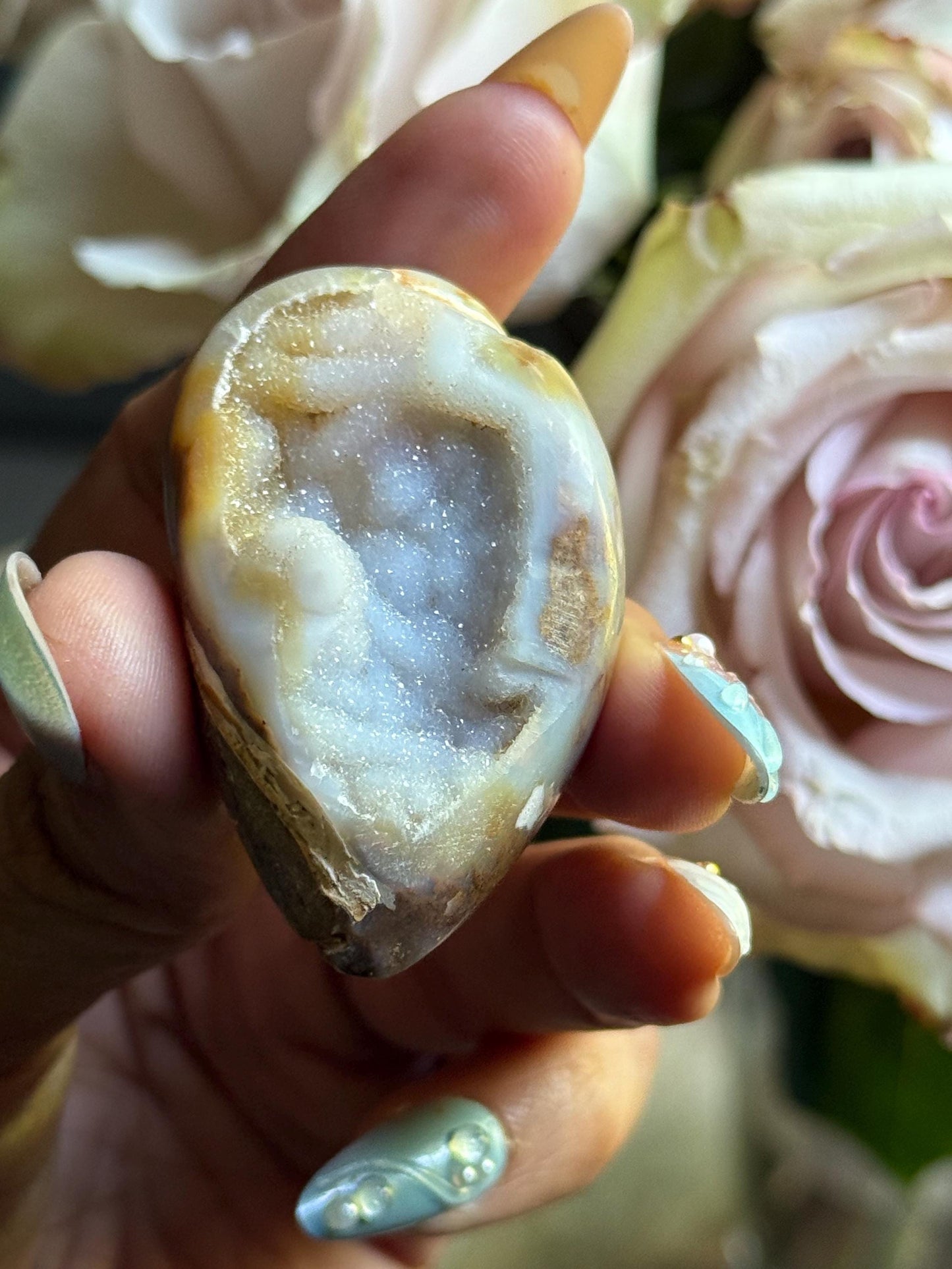 Spiralite Shell, Spiralite Quartz Shell, Fossilized Sea Shell, Agatized Shell, Druzy Quartz Shell, Fossilized Quartz, Crystal Gifts, Fossils