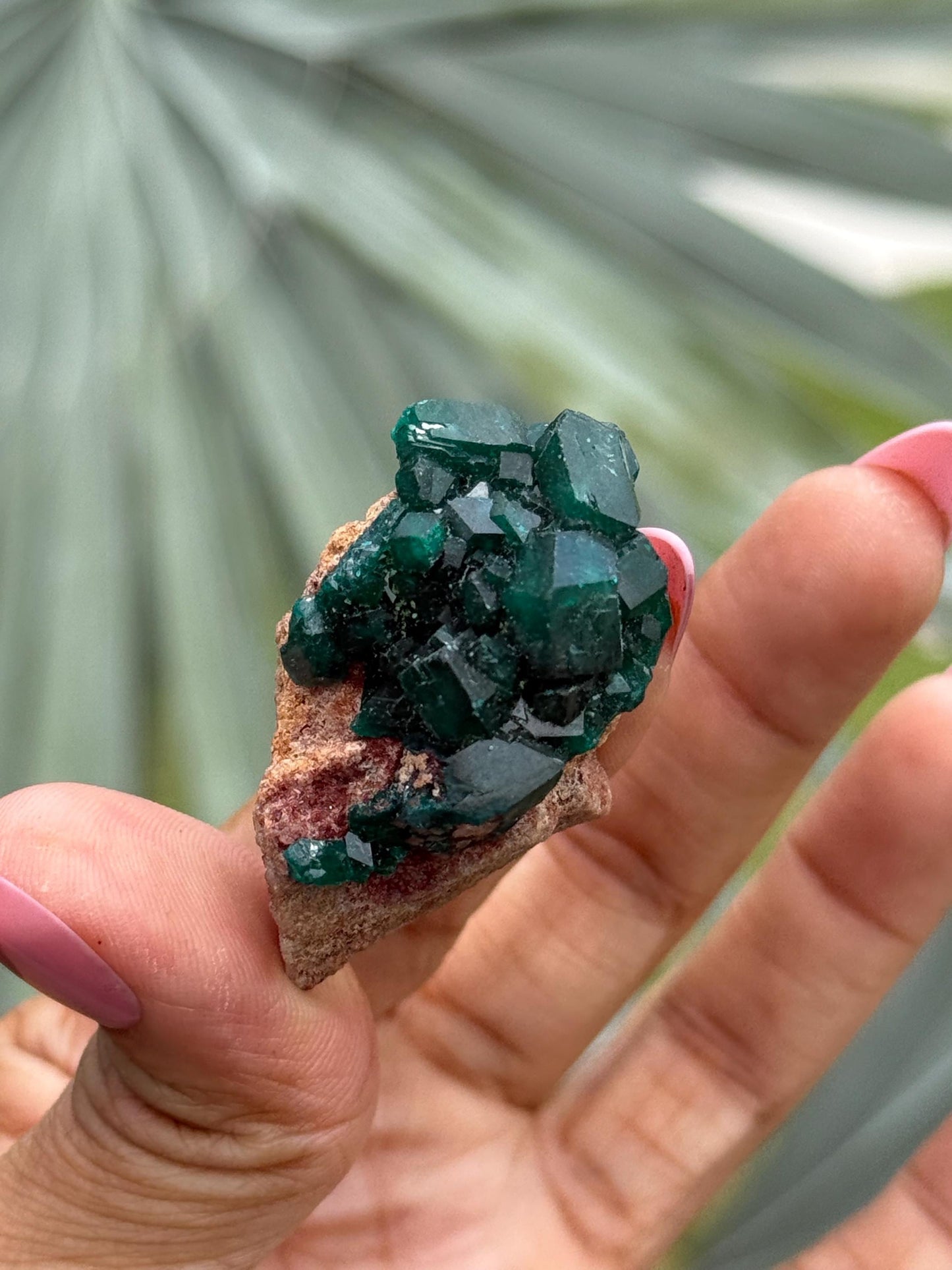 Dioptase, Natural Raw Dioptase, Dioptase from Republic of the Congo, Green Dioptase, Mineral Specimens, Fossils and Minerals, Crystal Gift