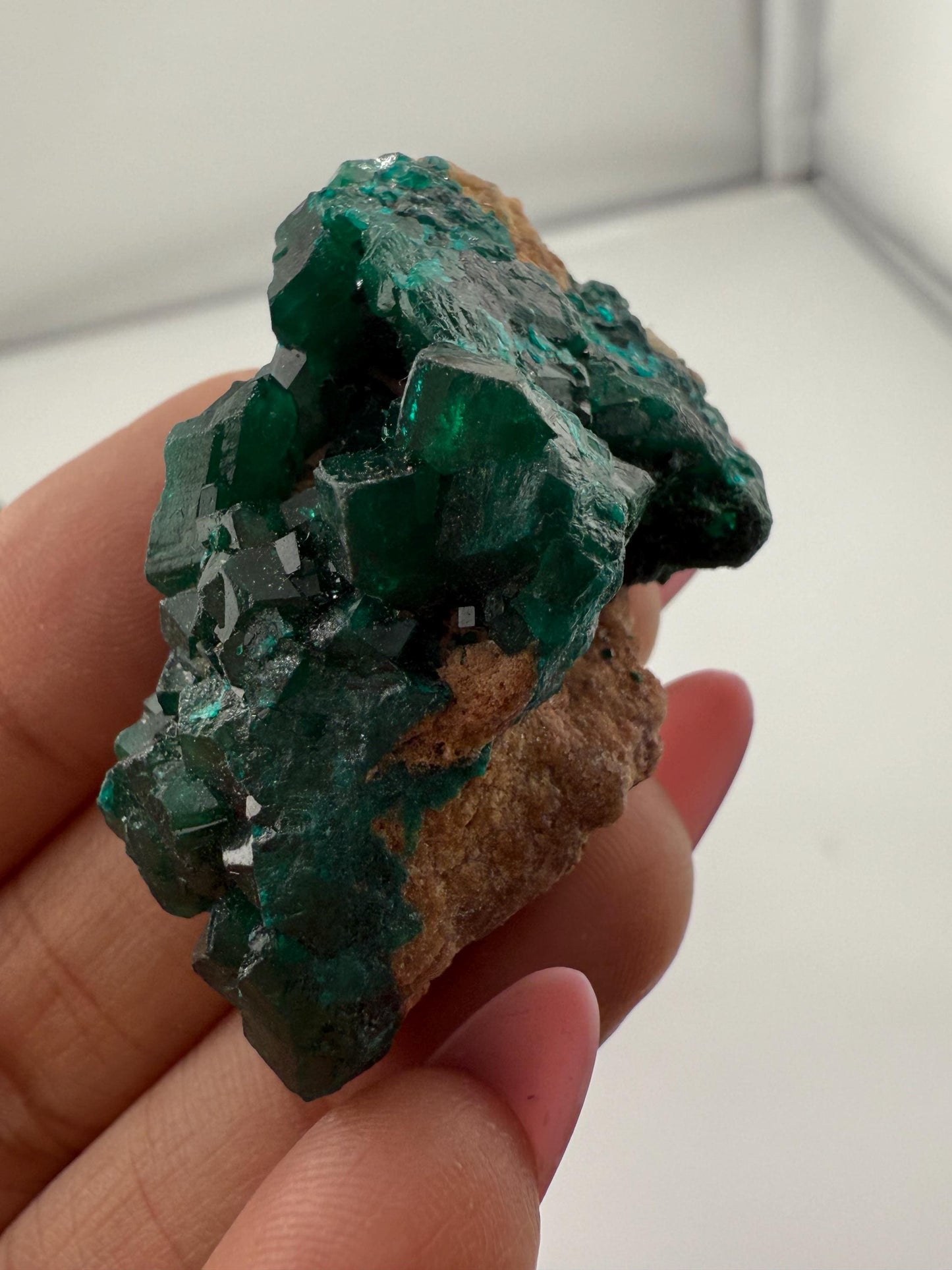 Dioptase, Natural Raw Dioptase, Dioptase from Republic of the Congo, Fossils and Minerals,
