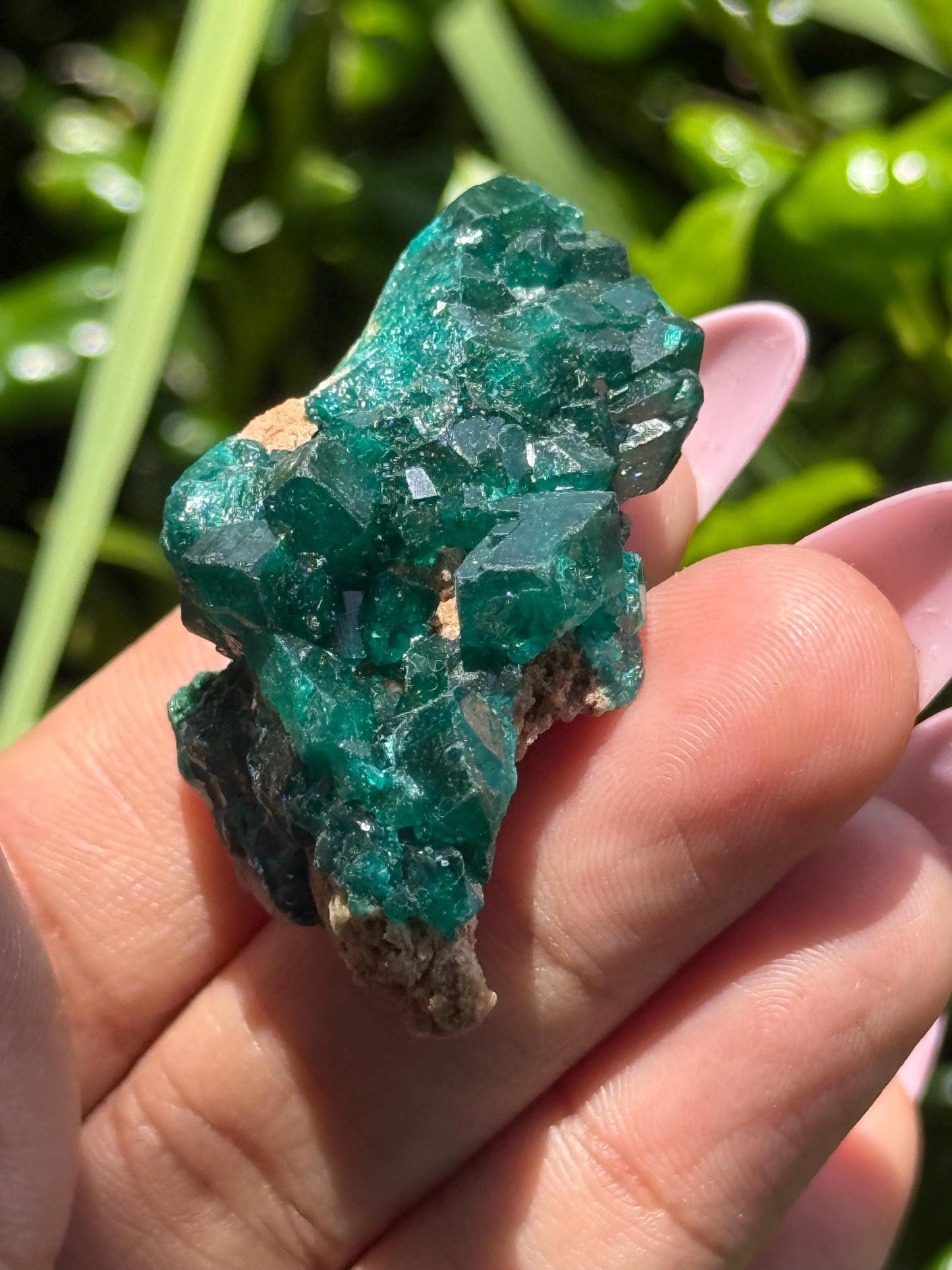 Dioptase, Natural Raw Dioptase, Dioptase from Republic of the Congo, Fossils and Minerals,