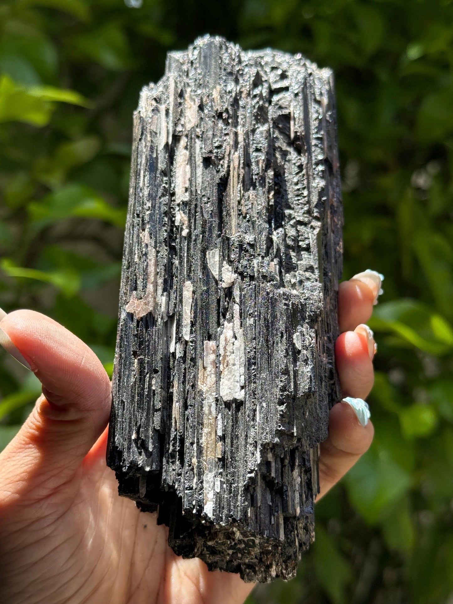 Large Black Tourmaline with Quartz, Raw Black Tourmaline, Tourmaline, Tourmaline mineral, Raw Crystal Specimen, Crystal Gifts, Home Decor