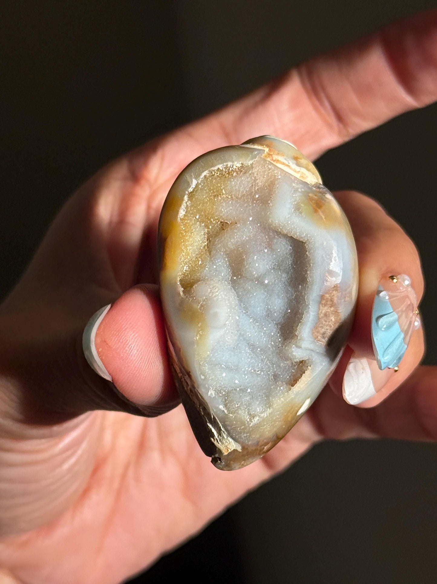 Spiralite Shell, Spiralite Quartz Shell, Fossilized Sea Shell, Agatized Shell, Druzy Quartz Shell, Fossilized Quartz, Crystal Gifts, Fossils