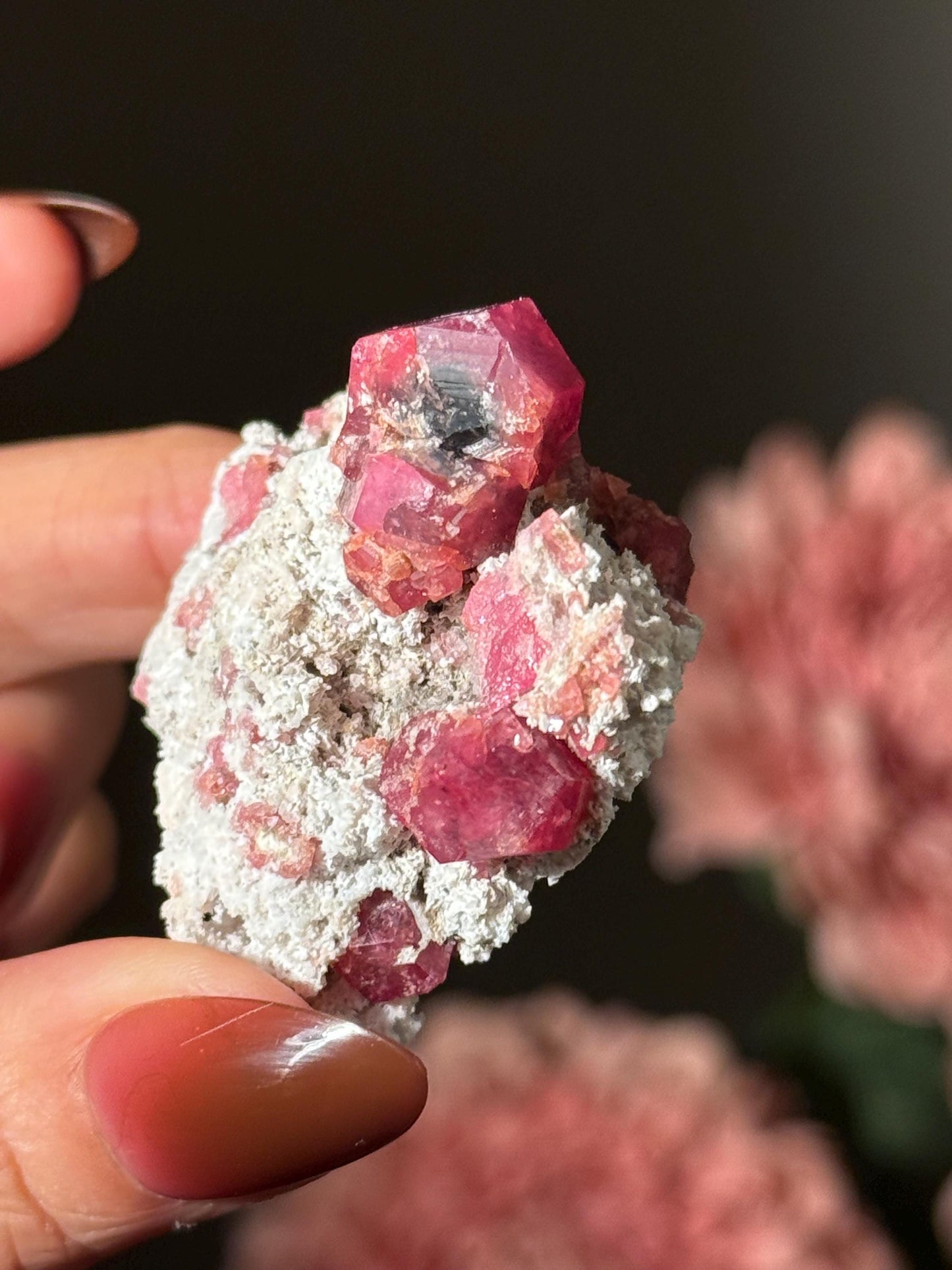 Raspberry Garnet, Grossular Garnet, Raspberry Garnet from Coahuila, Mexico, Raw Mineral Specimen, Garnet