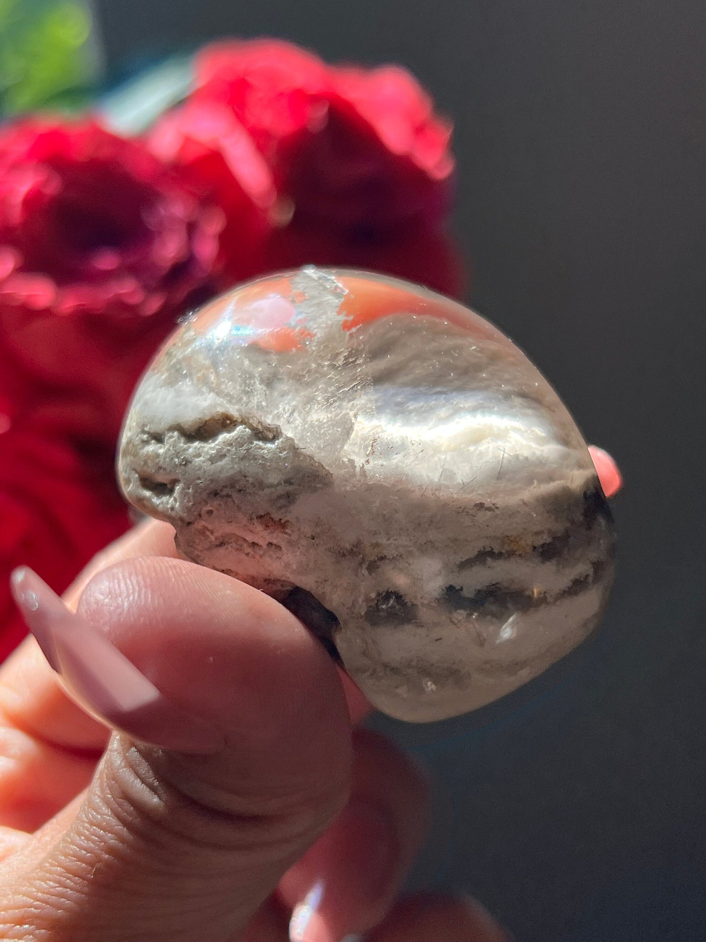 Small Lodolite Lens, Garden Quartz Garden Quartz Lens, Lodolite Quartz, Lodolite Garden Quartz, Scenic Quartz, Healing Crystals, Small