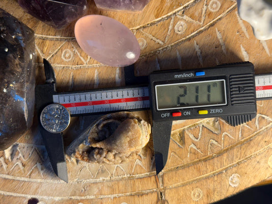 Spiralite Shell, Spiralite Quartz Shell, Fossilized Sea Shell, Agatized Shell, Druzy Quartz Shell, Fossilized Quartz, Crystal Gifts, Fossils