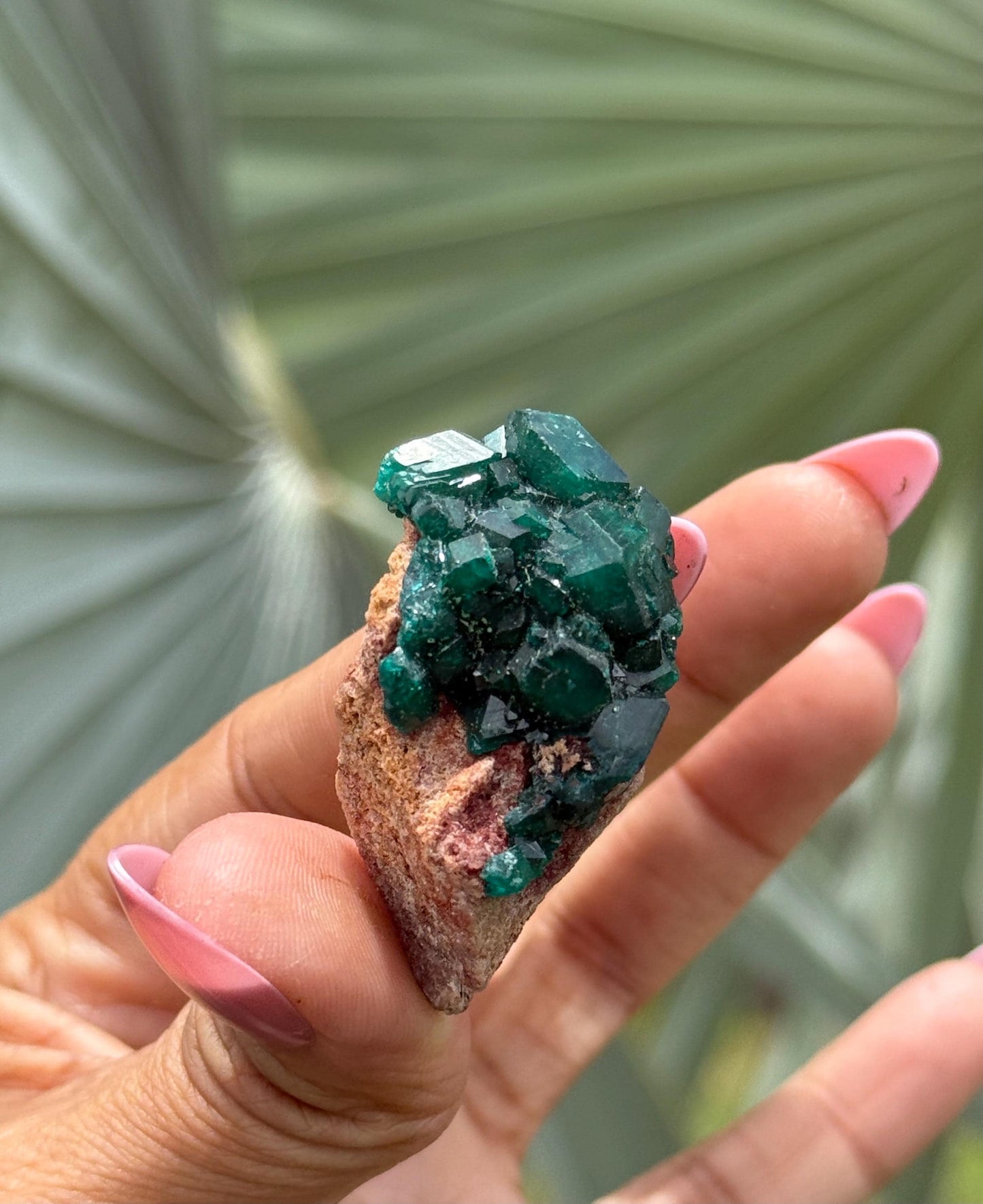 Dioptase, Natural Raw Dioptase, Dioptase from Republic of the Congo, Green Dioptase, Mineral Specimens, Fossils and Minerals, Crystal Gift