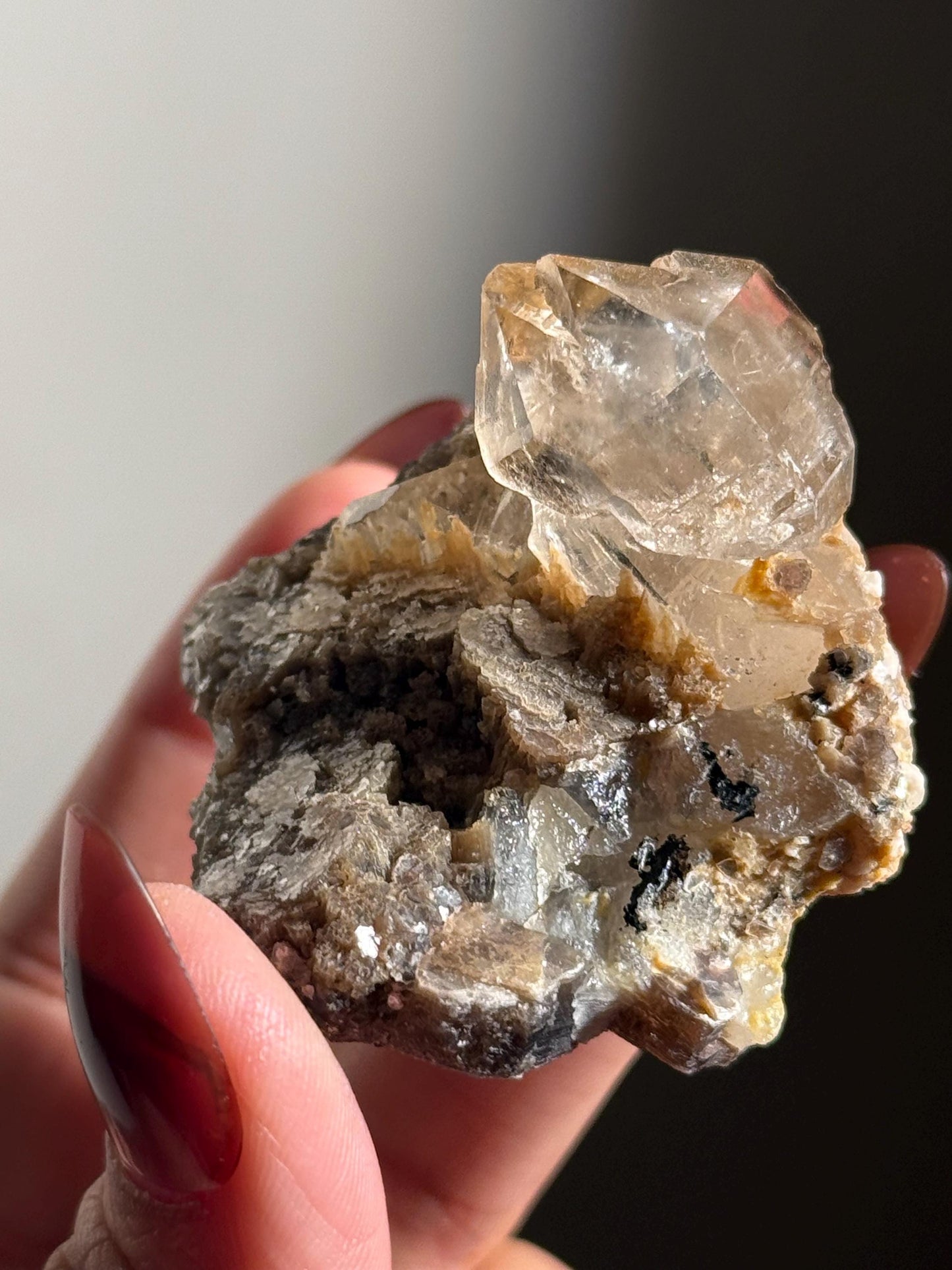 Smoky Quartz Scepter With Golden Mica, Enhydro Quartz, Smoky Quartz Enhydro, Raw Smoky Quartz Specimen, Tucson Gem Show Find