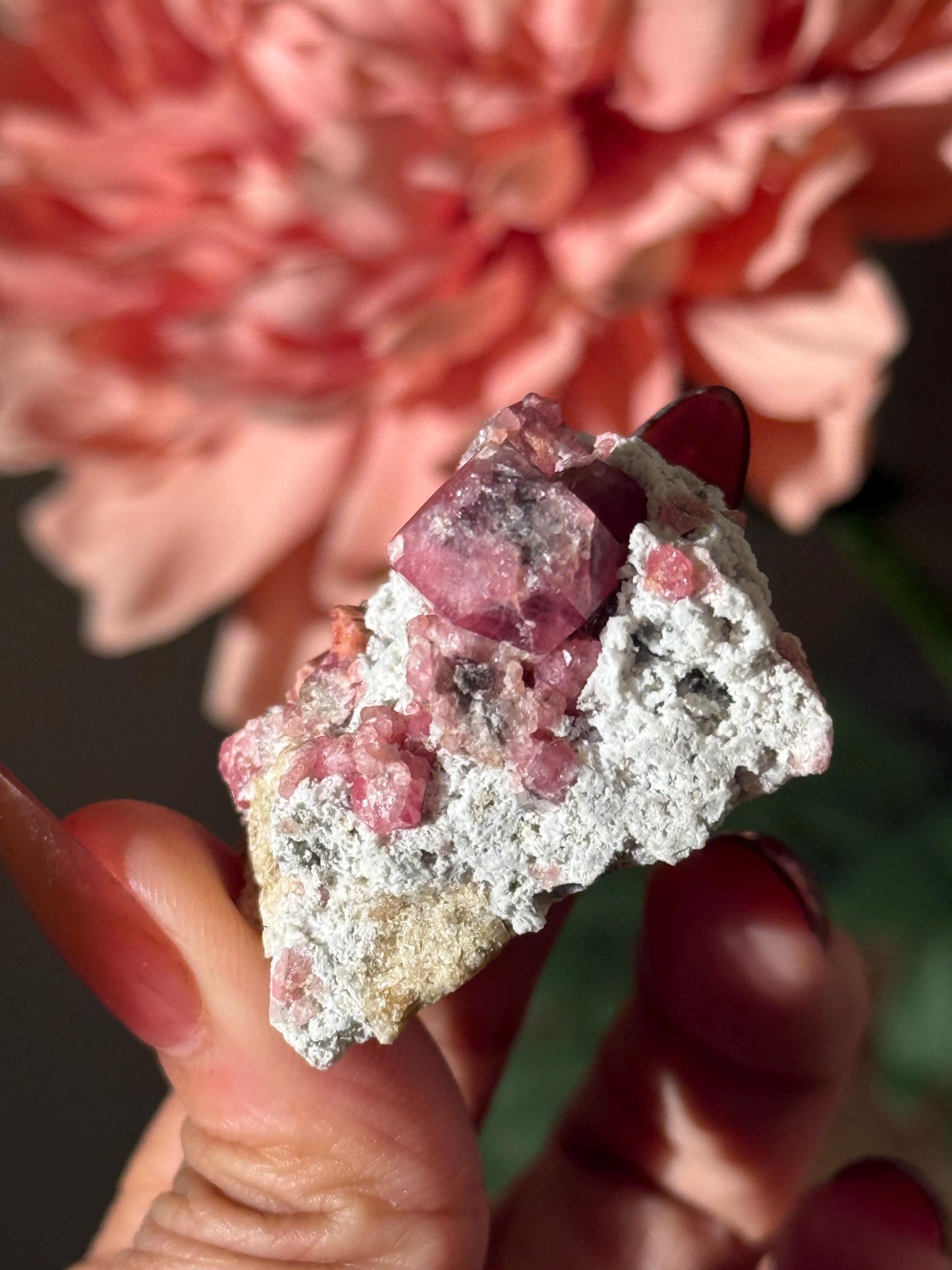 Raspberry Garnet, Grossular Garnet, Raspberry Garnet from Coahuila, Mexico, Raw Mineral Specimen, Garnet, Garnet Raw Stone, Crystal Gifts