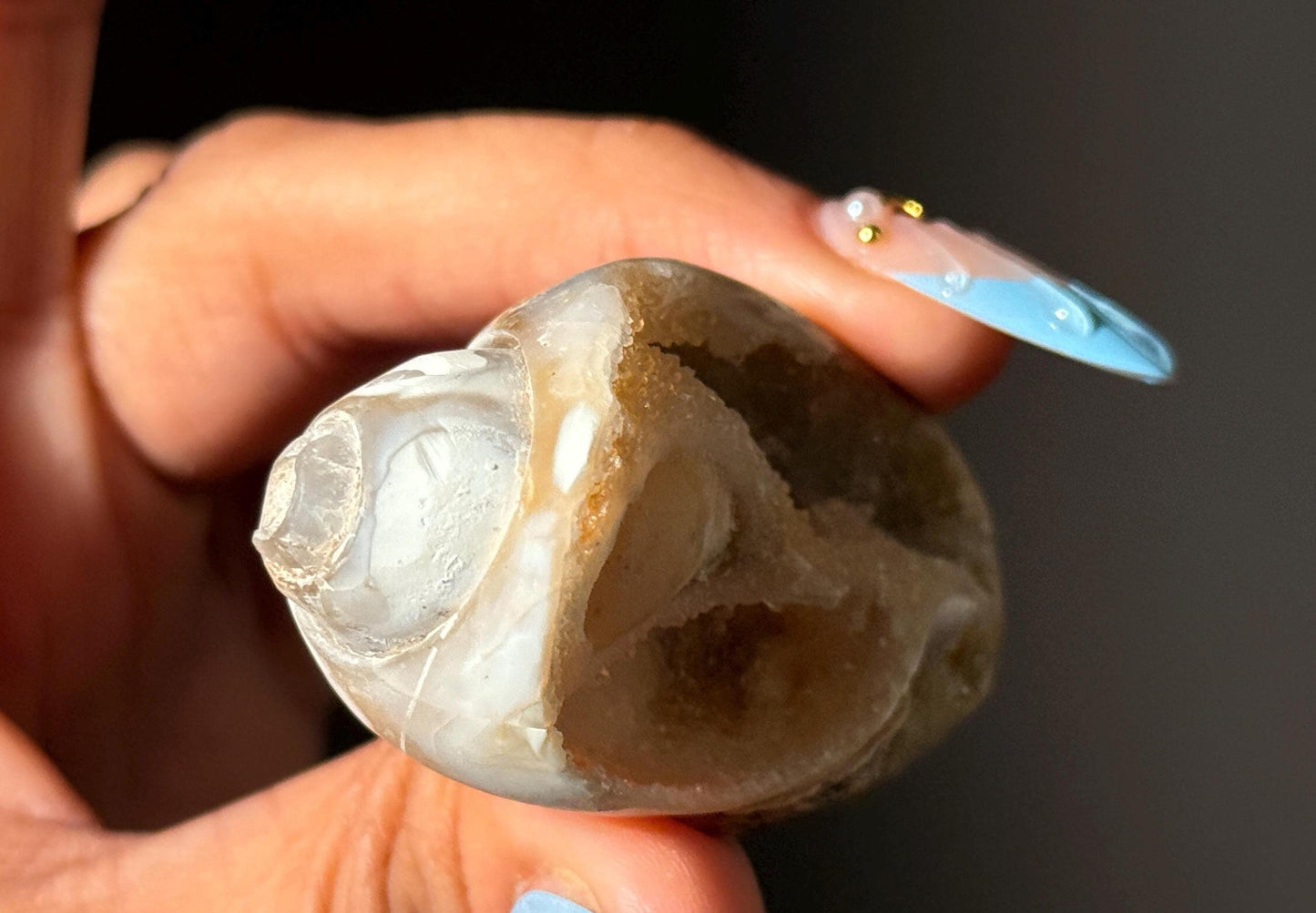 Spiralite Shell, Spiralite Quartz Shell, Fossilized Sea Shell, Agatized Shell, Druzy Quartz Shell, Fossilized Quartz, Crystal Gifts, Fossils