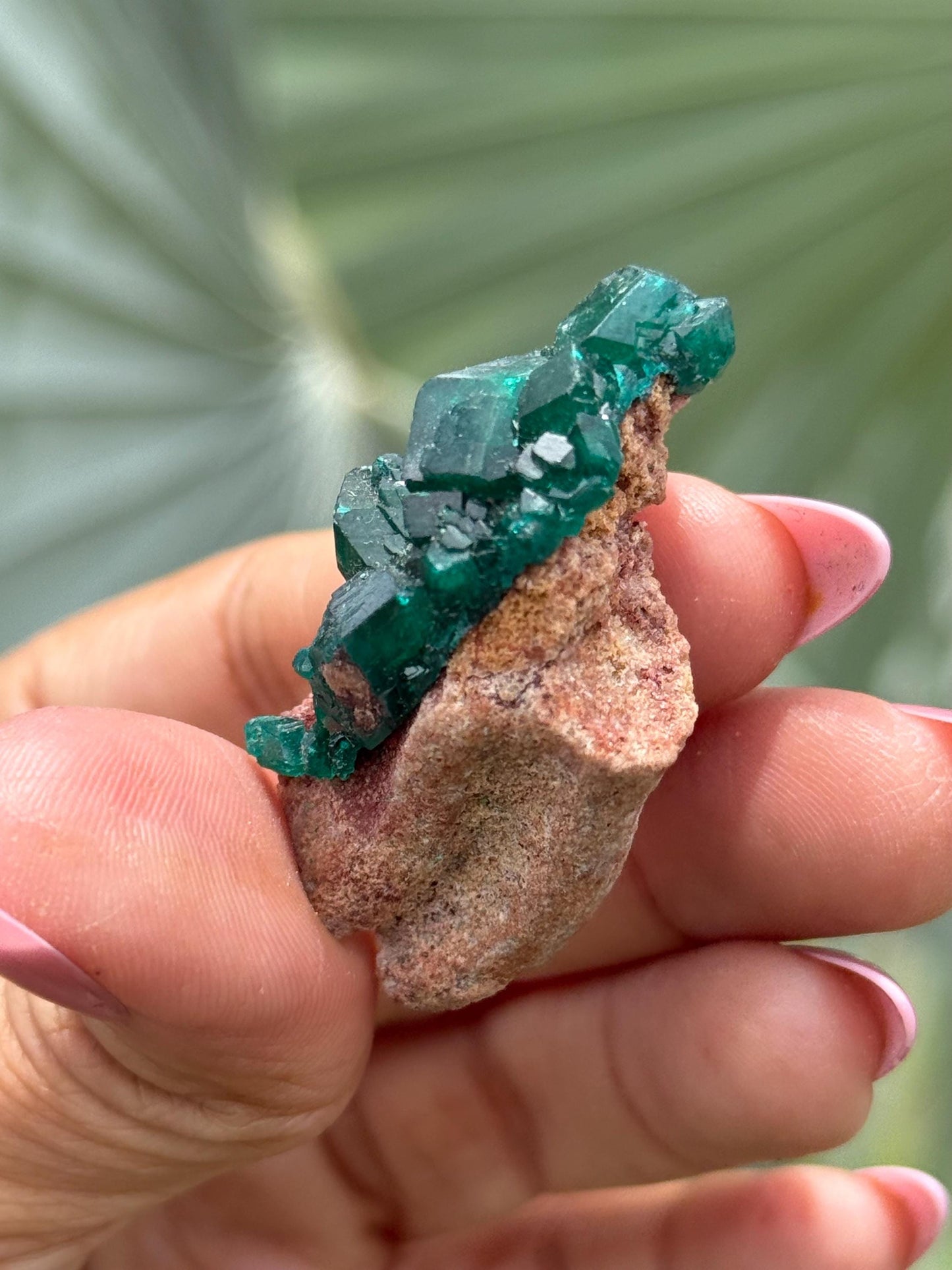 Dioptase, Natural Raw Dioptase, Dioptase from Republic of the Congo, Green Dioptase, Mineral Specimens, Fossils and Minerals, Crystal Gift