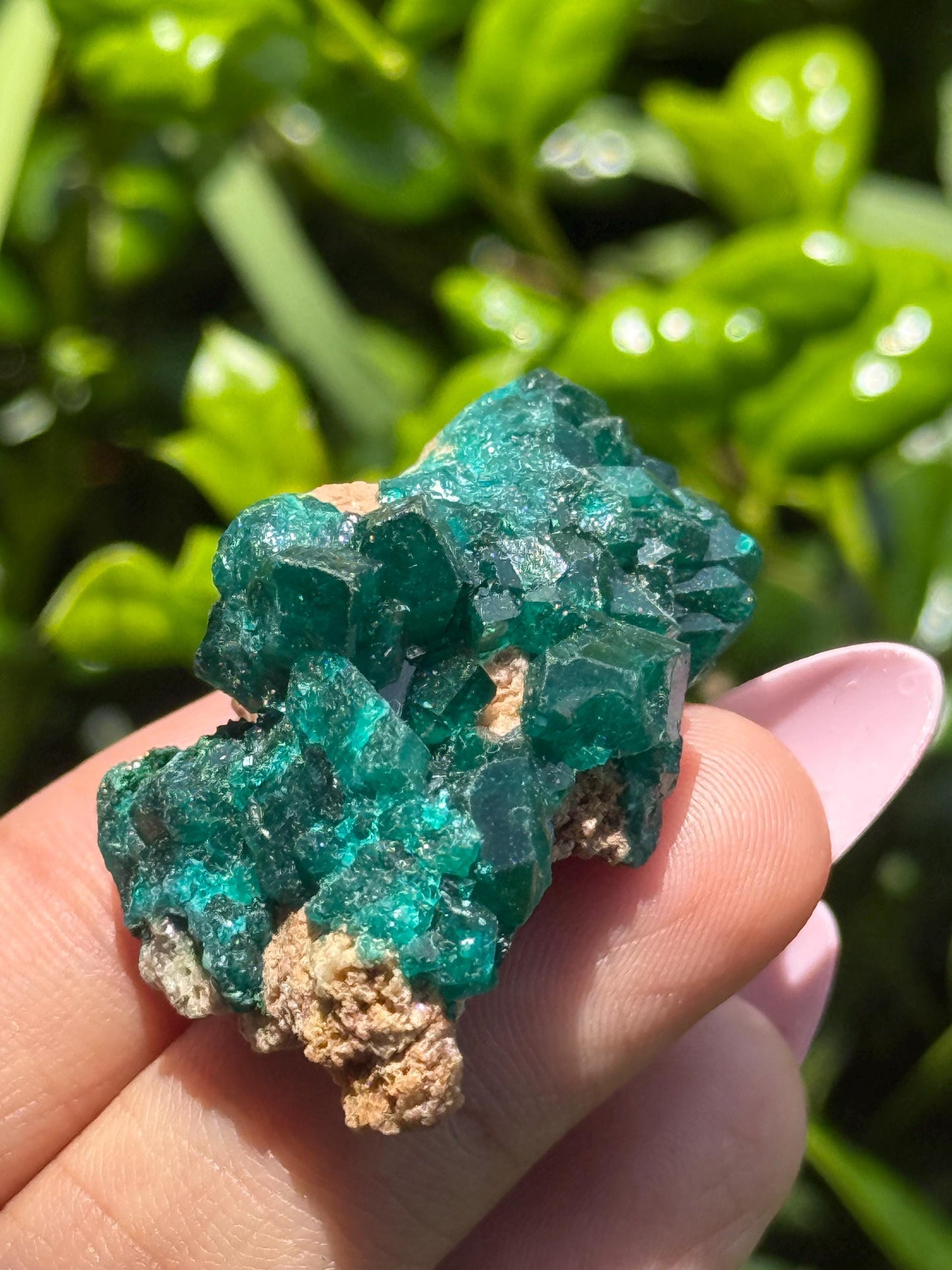 Dioptase, Natural Raw Dioptase, Dioptase from Republic of the Congo, Fossils and Minerals,