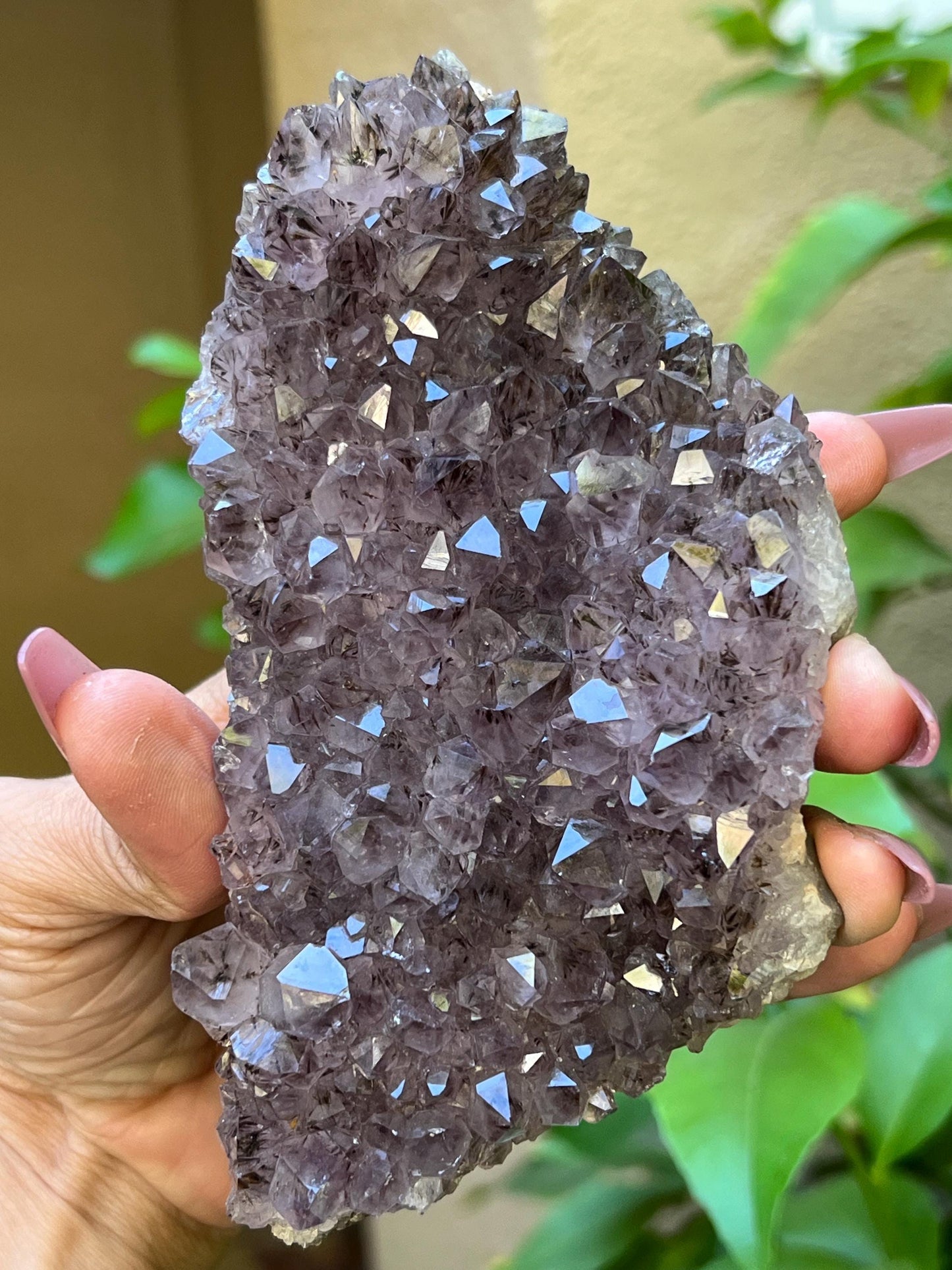 Raw Amethyst with Geothite Inclusions, Amethyst, Goethite, Super Seven Amethyst, Raw Crystal Clusters, Fossils, Crystal Gifts, 368 Grams