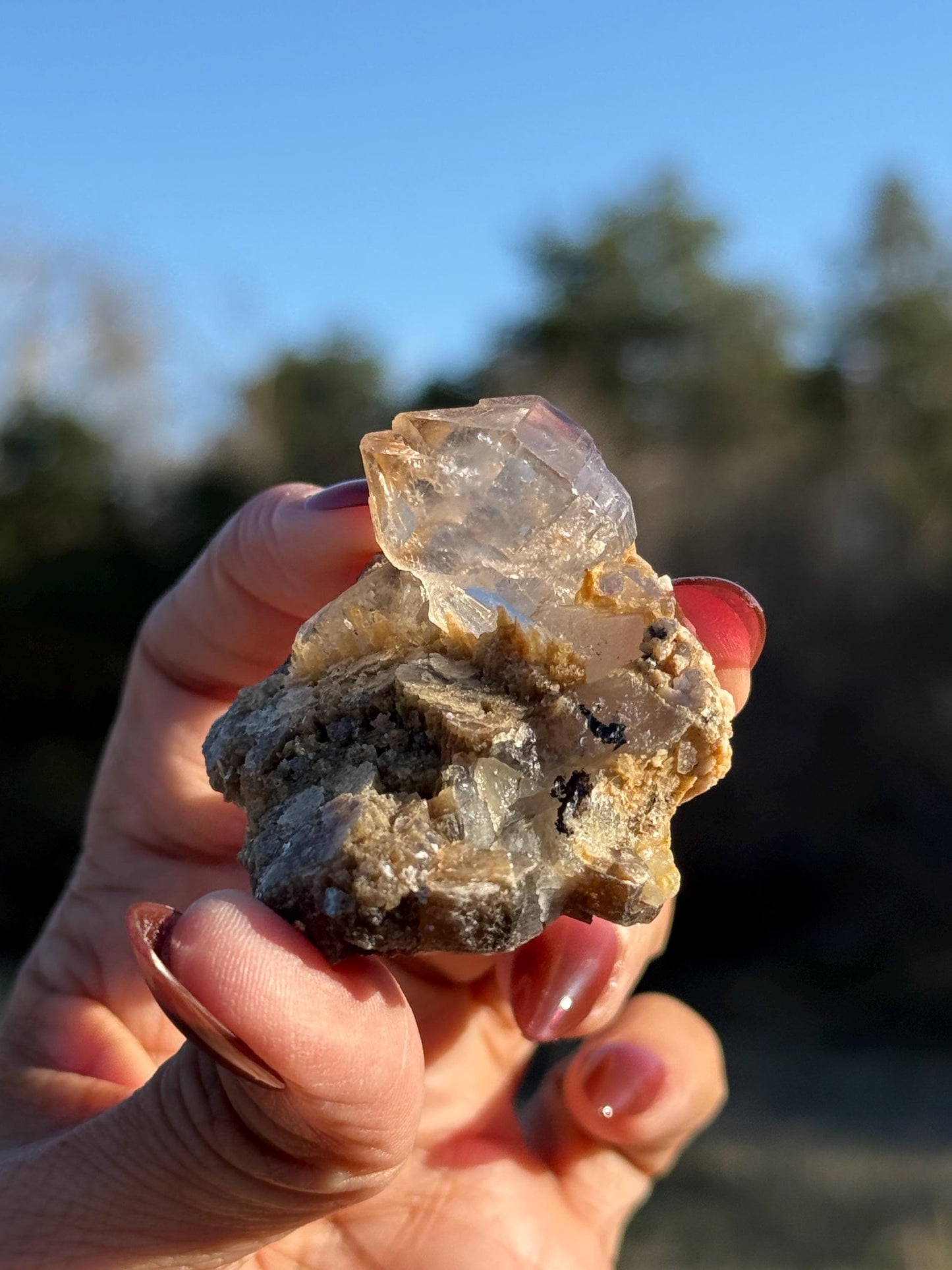 Smoky Quartz Scepter With Golden Mica, Enhydro Quartz, Smoky Quartz Enhydro, Raw Smoky Quartz Specimen, Tucson Gem Show Find