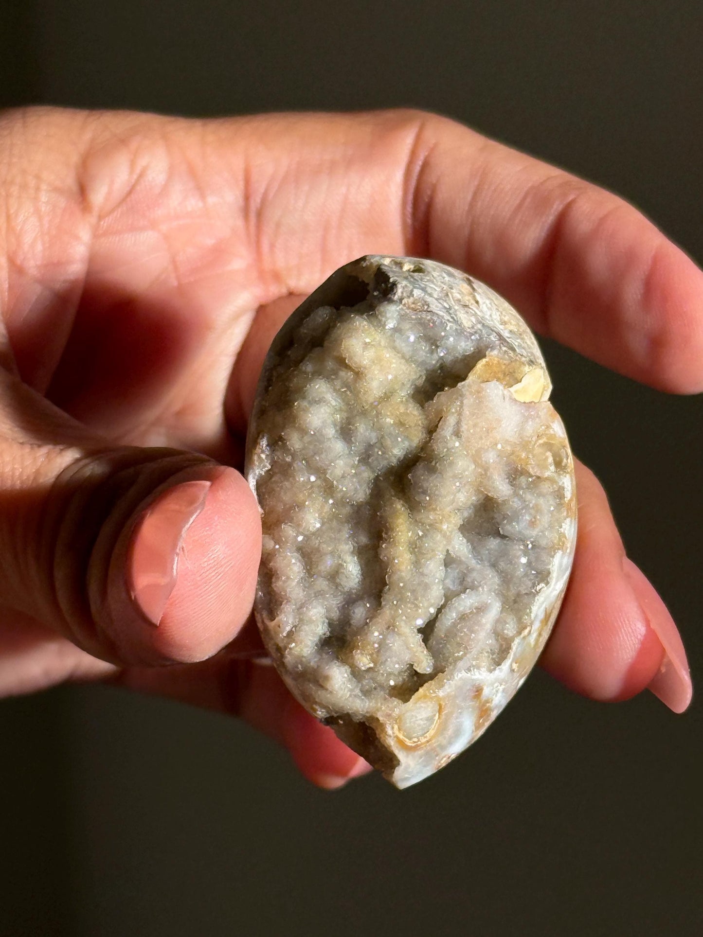 Spiralite Shell, Spiralite Quartz Shell, Fossilized Sea Shell, Agatized Shell, Druzy Quartz Shell, Fossilized Quartz, Crystal Gifts, Fossils