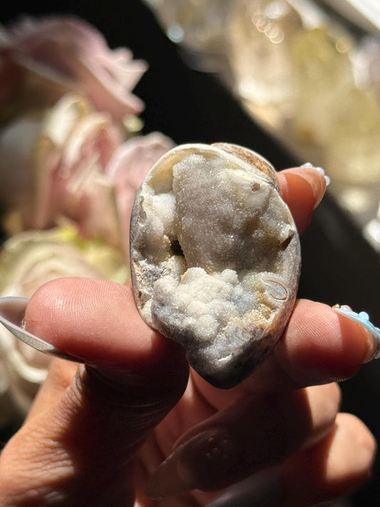 Spiralite Shell, Spiralite Quartz Shell, Fossilized Sea Shell, Agatized Shell, Druzy Quartz Shell, Fossilized Quartz, Crystal Gifts, Fossils