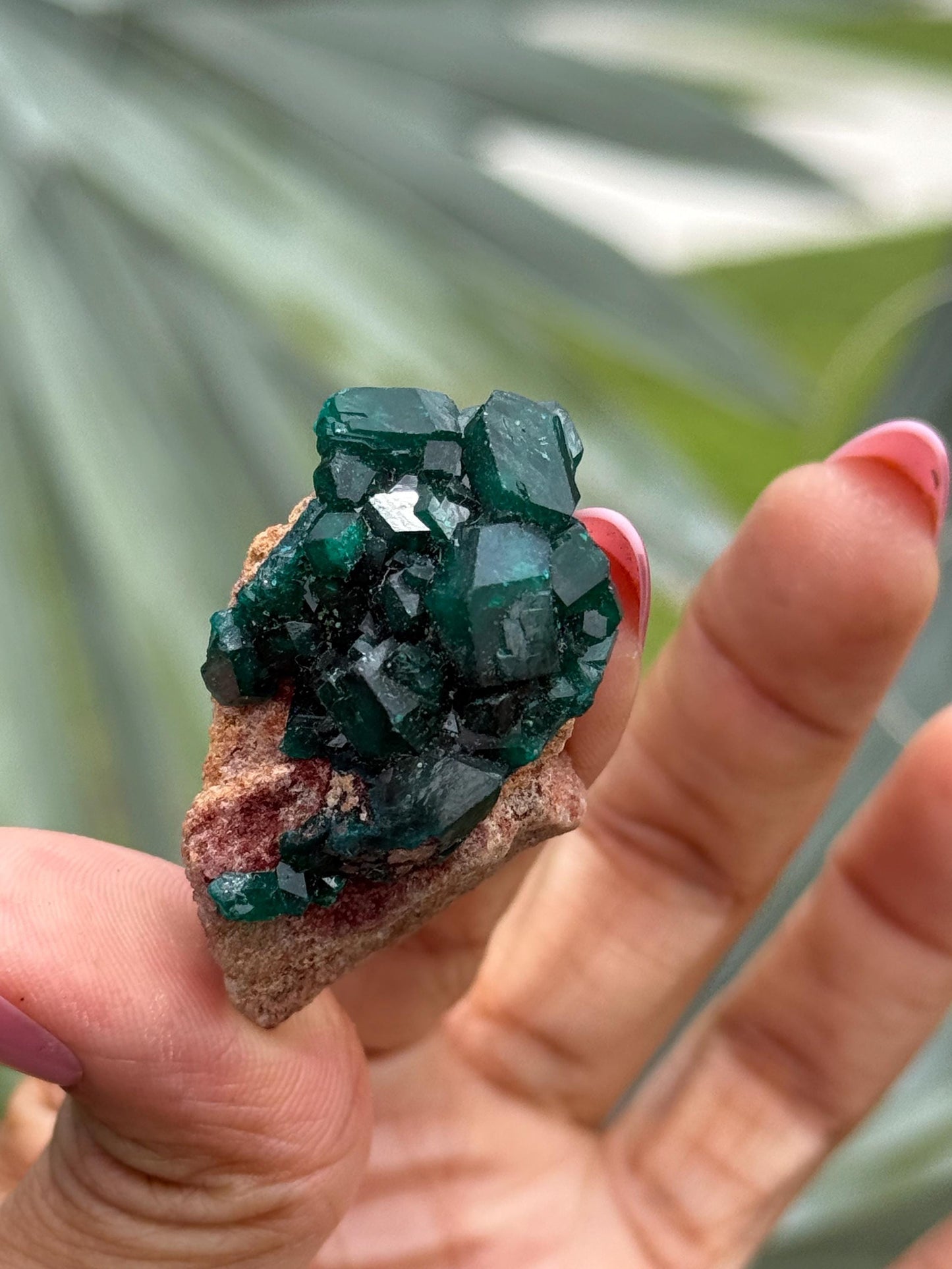 Dioptase, Natural Raw Dioptase, Dioptase from Republic of the Congo, Green Dioptase, Mineral Specimens, Fossils and Minerals, Crystal Gift