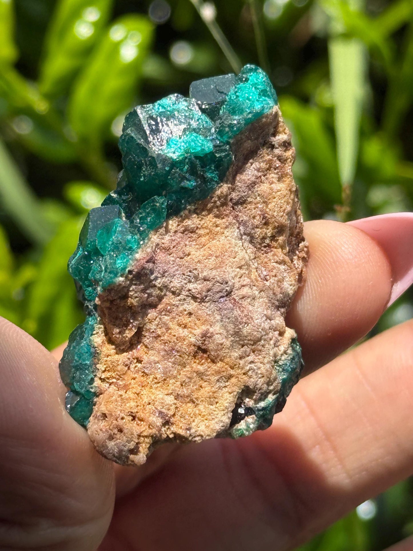 Dioptase, Natural Raw Dioptase, Dioptase from Republic of the Congo, Fossils and Minerals,