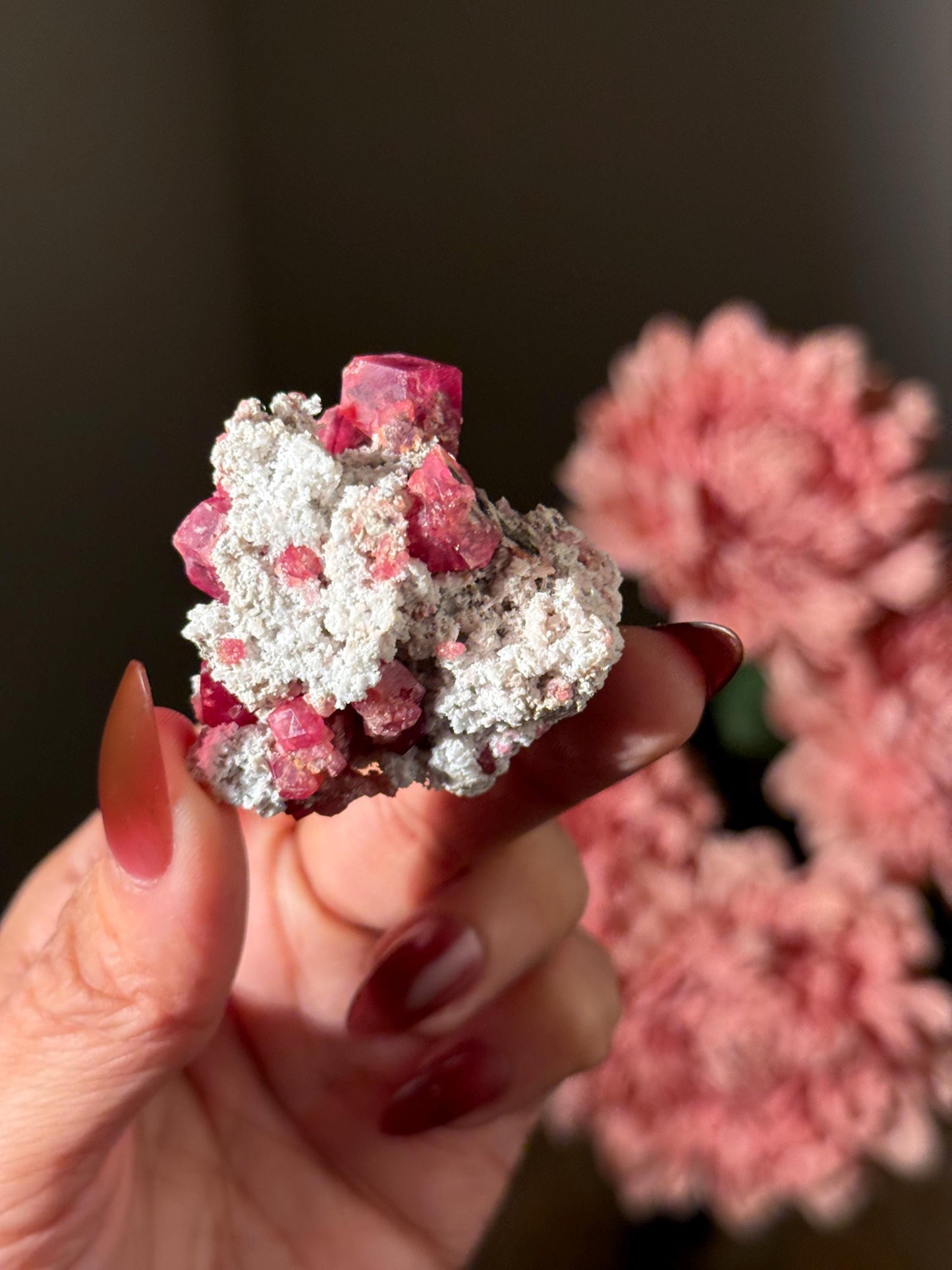 Raspberry Garnet, Grossular Garnet, Raspberry Garnet from Coahuila, Mexico, Raw Mineral Specimen, Garnet